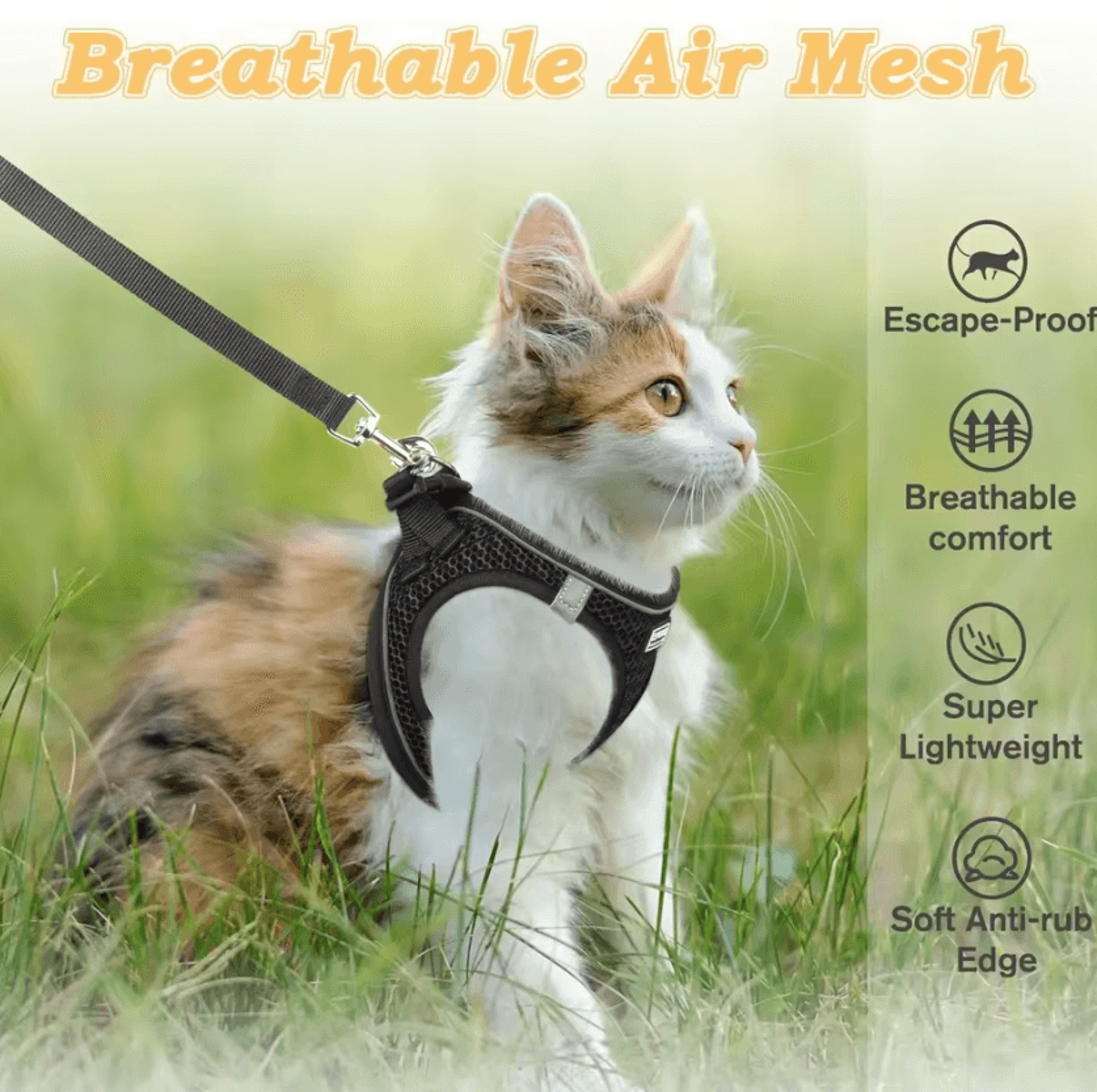 SafeStride Reflective Cat  Puppy Harness Set 2