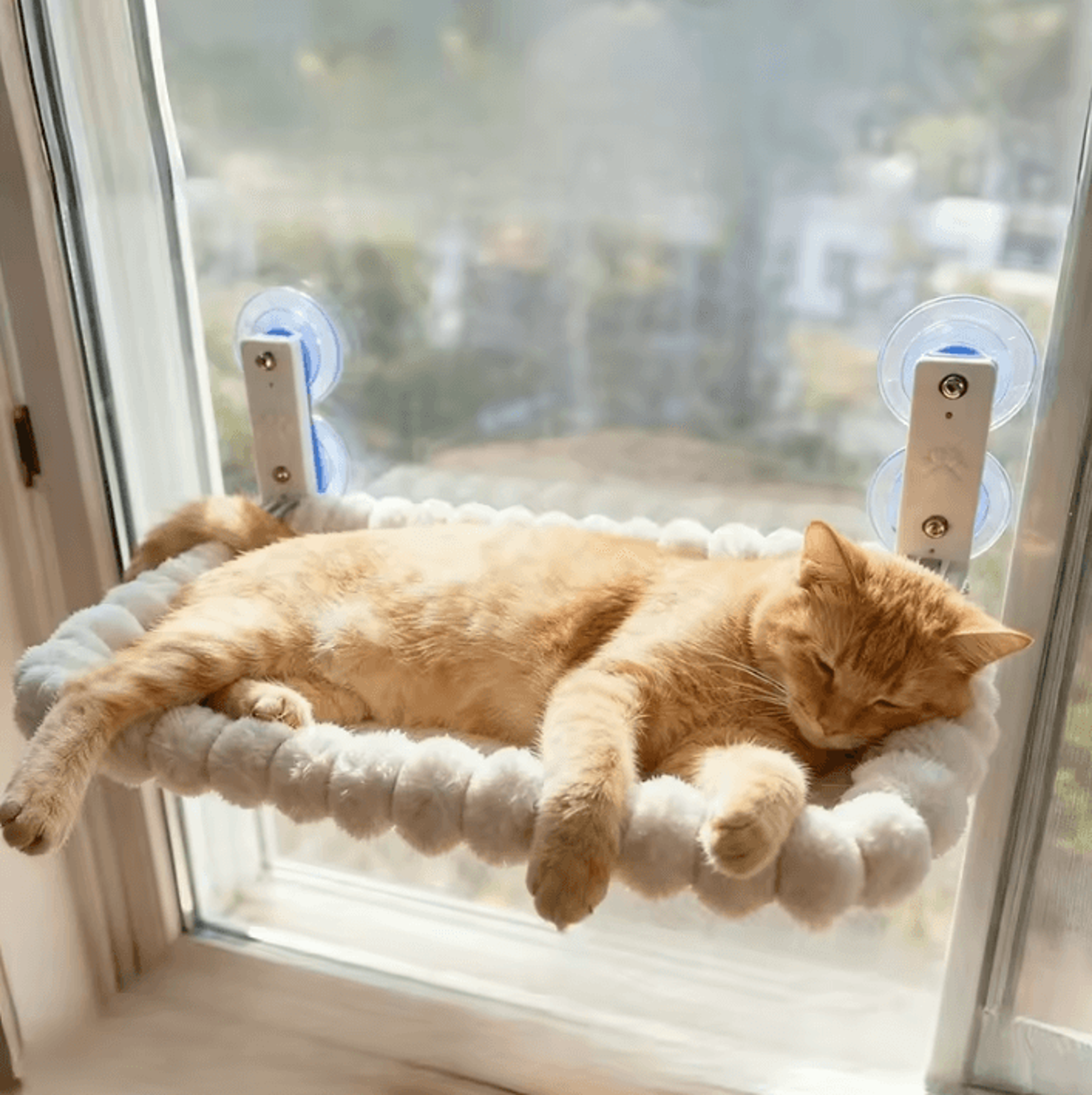 SunnyNest Foldable Cat Window Hammock  Hanging Suction Cup Bed For Indoor Cats 0
