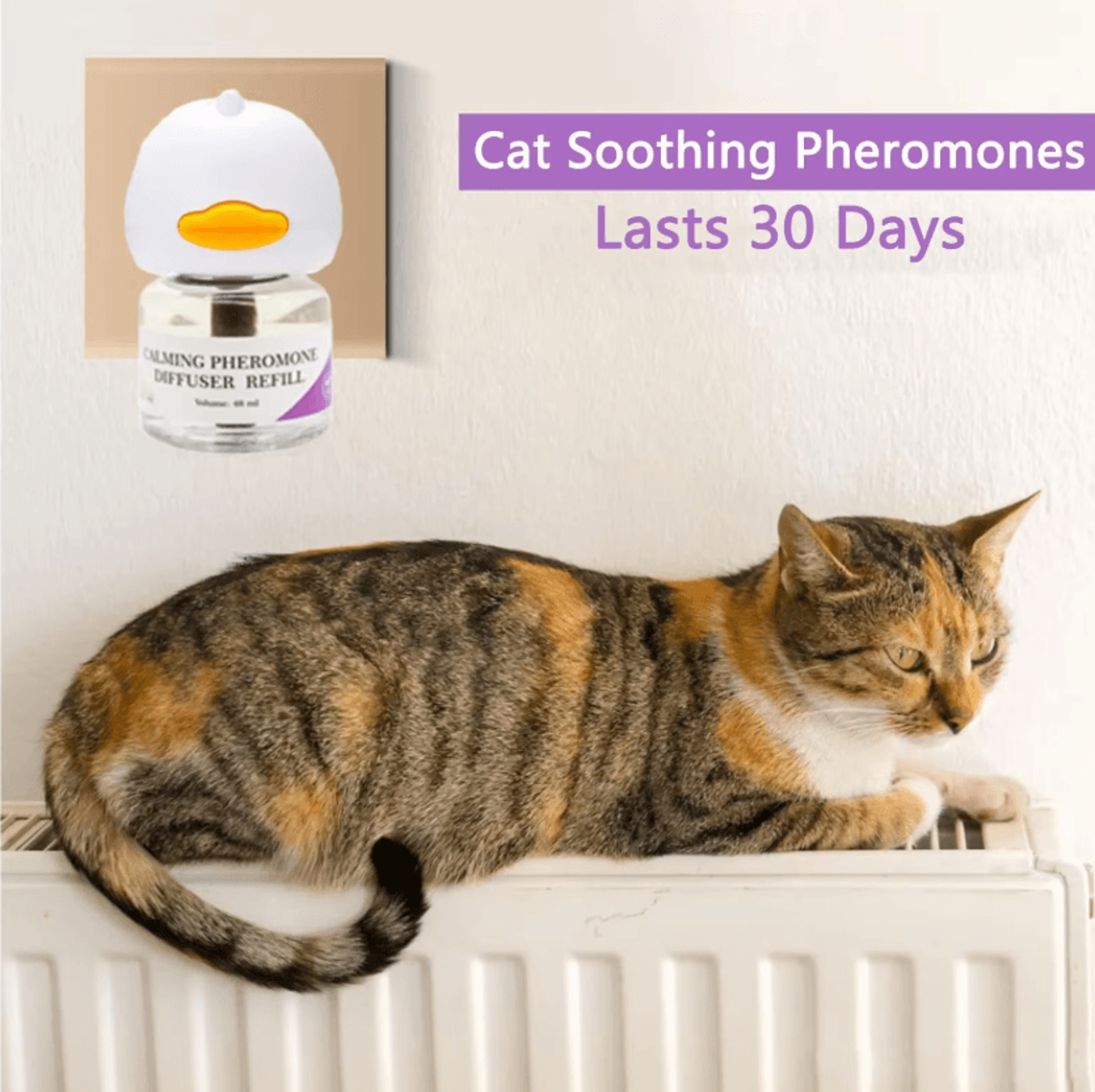 CalmiPaws Cat Pheromone Diffuser Starter Kit For Stress Relief  Relaxation 4