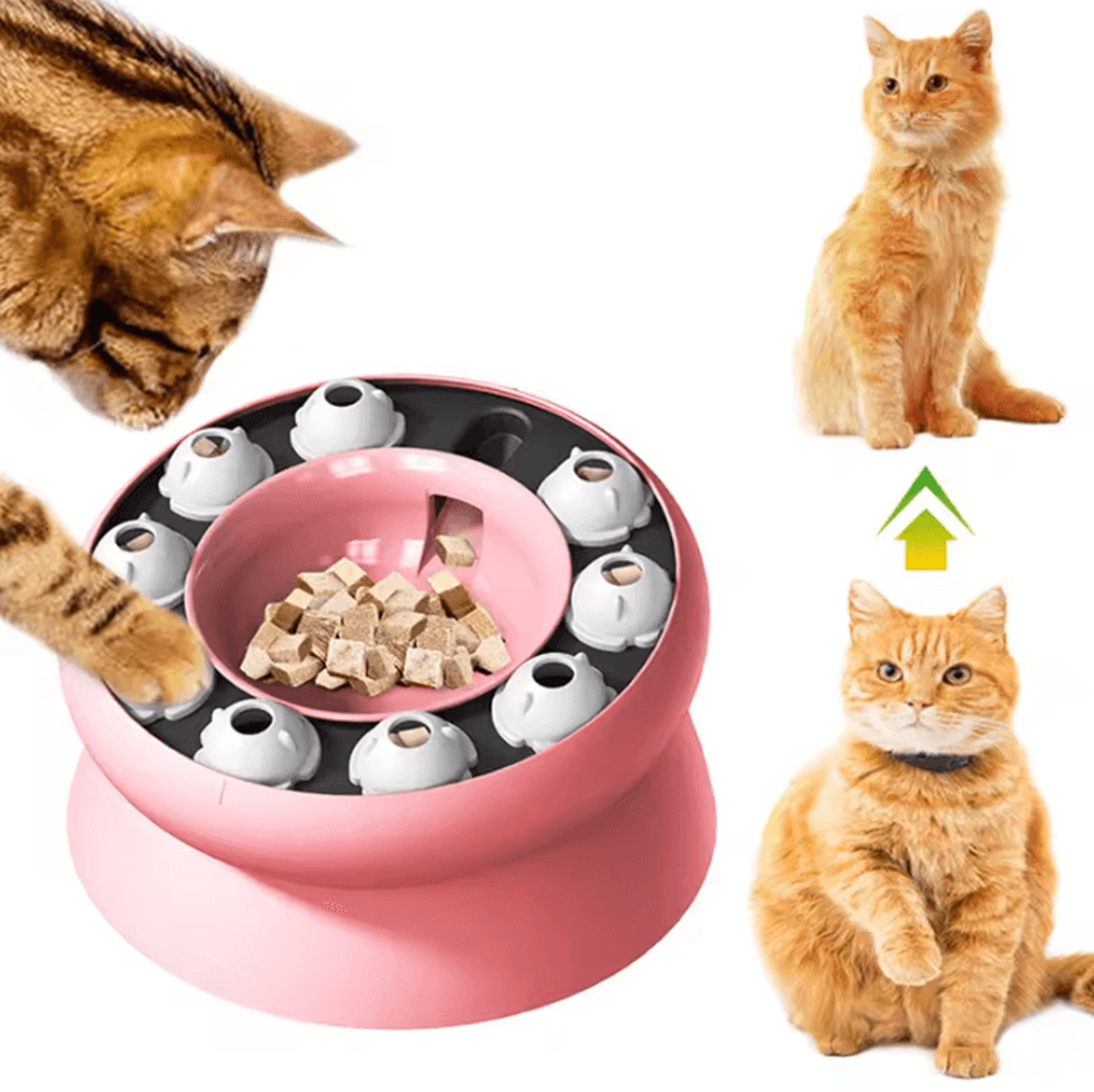 MindPaws Interactive Slow Feeder Puzzle Bowl For Cats 0