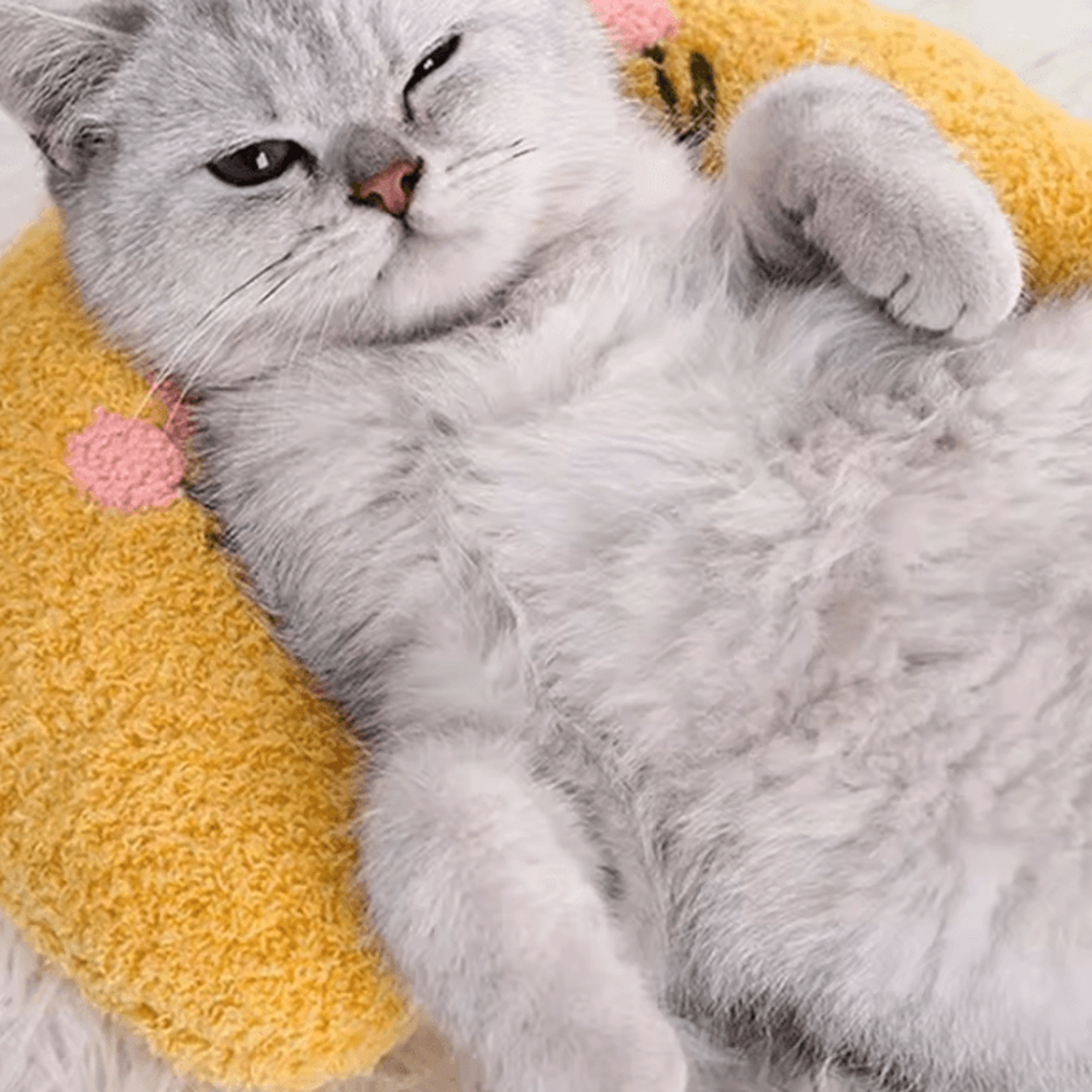 Ultra Soft Calming Cat Pillow For Cozy Sleep  Joint Support 1