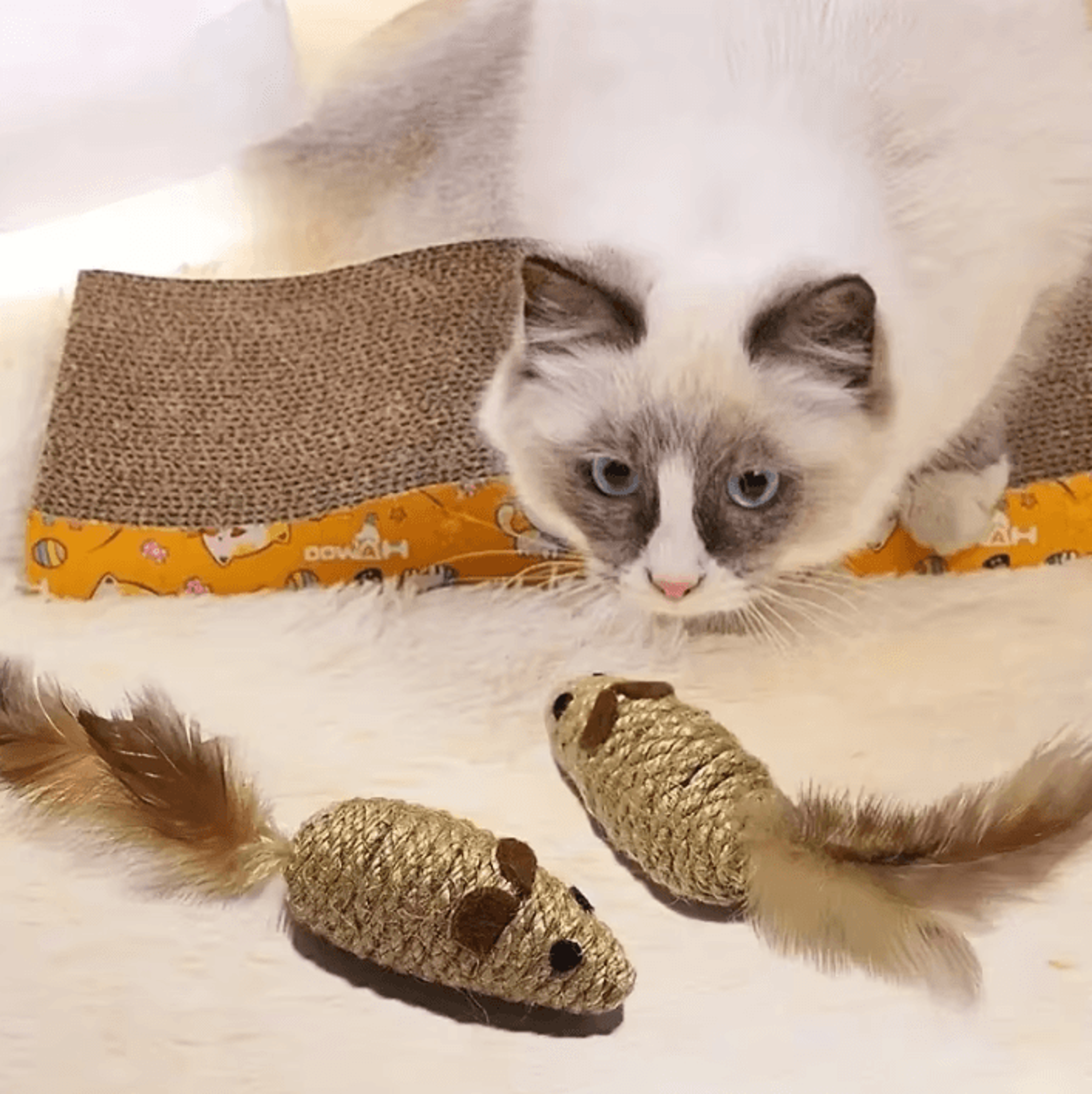 2Pack BiteResistant Mouse Cat Toys With Feather Tail For Interactive Play 0