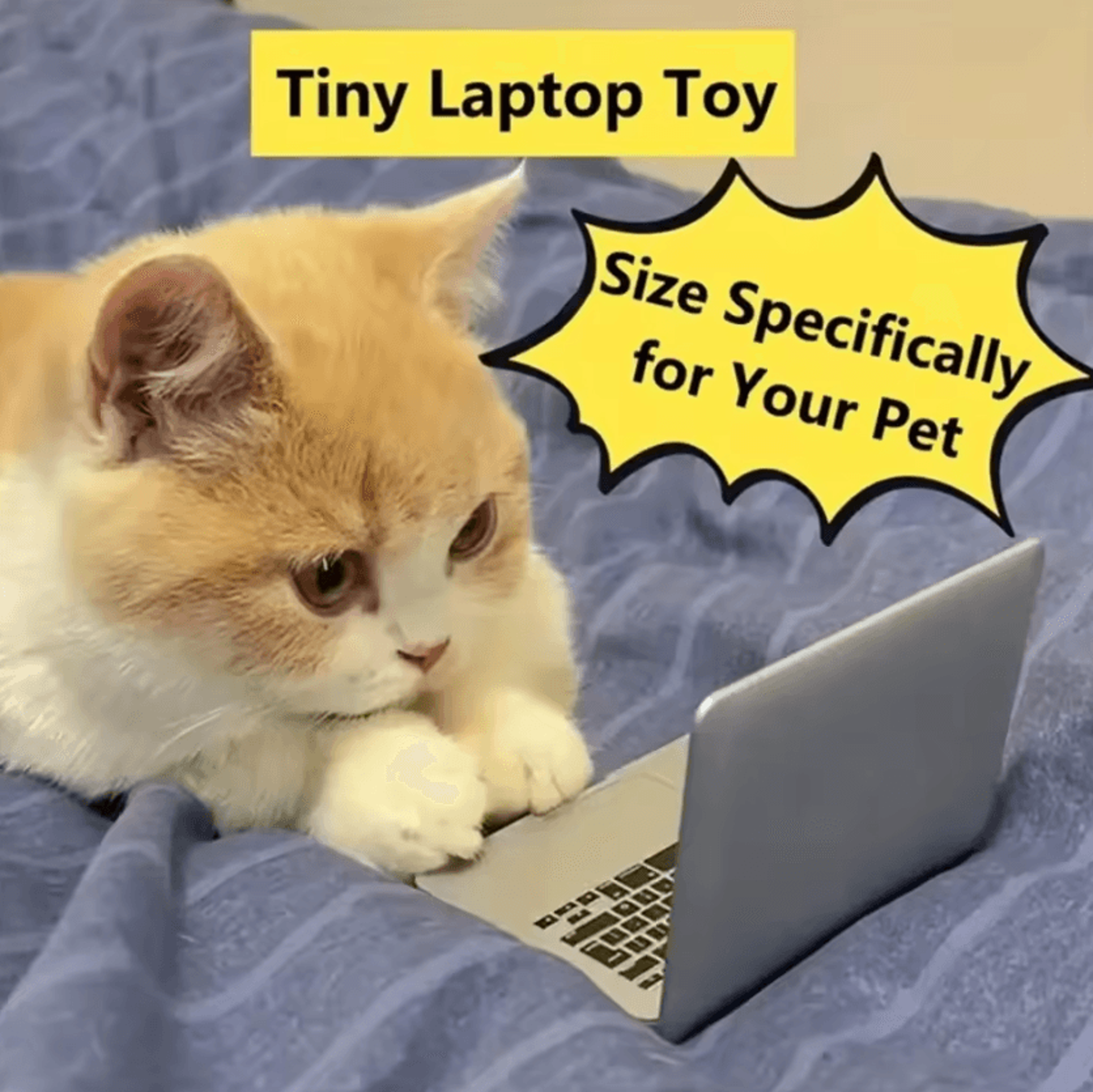 Mini Cat Laptop Mirror Toy For Curious Kittens  Interactive Play 0