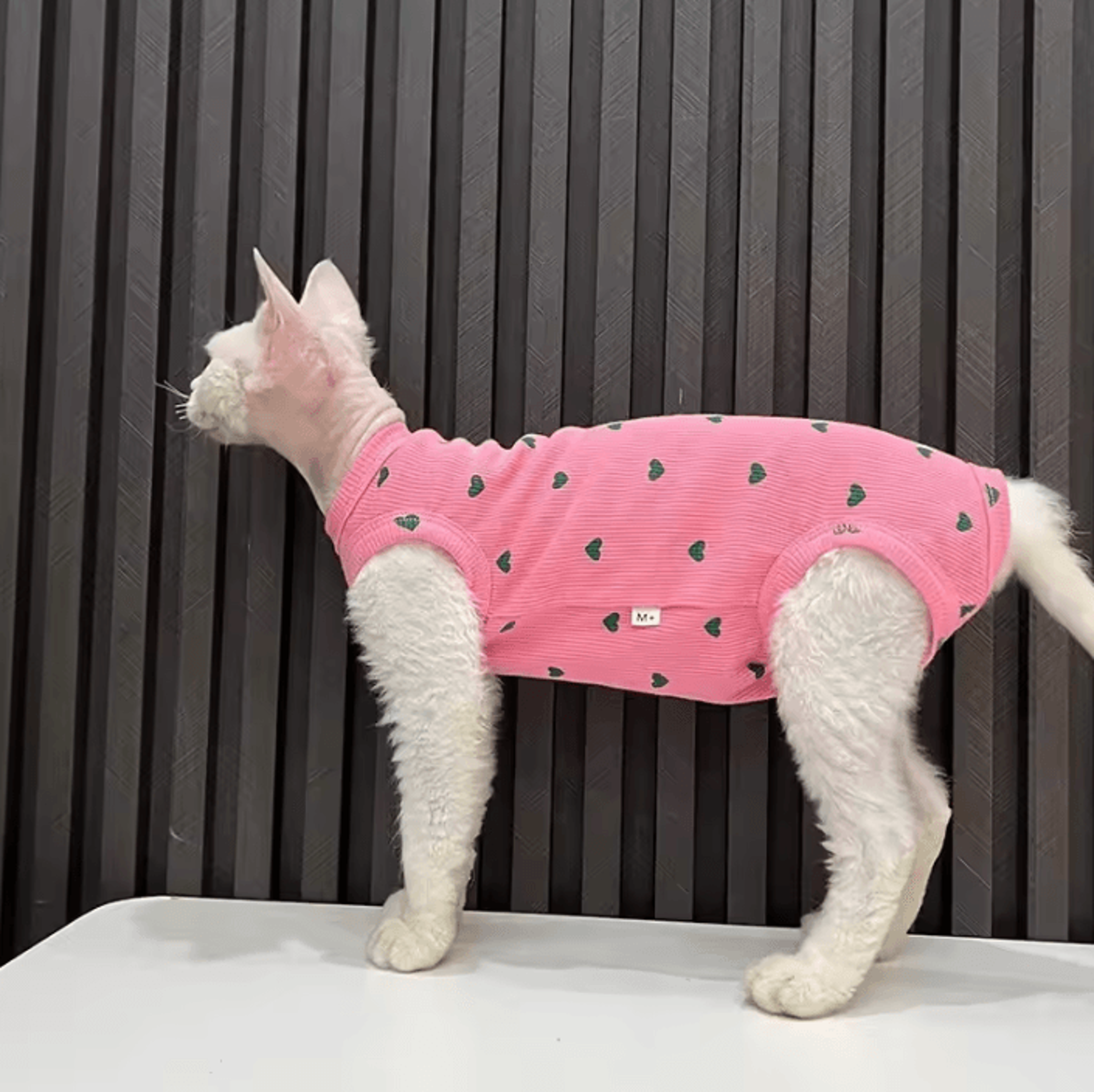 LoveCloud Lightweight Sphynx Cat Pajamas 1