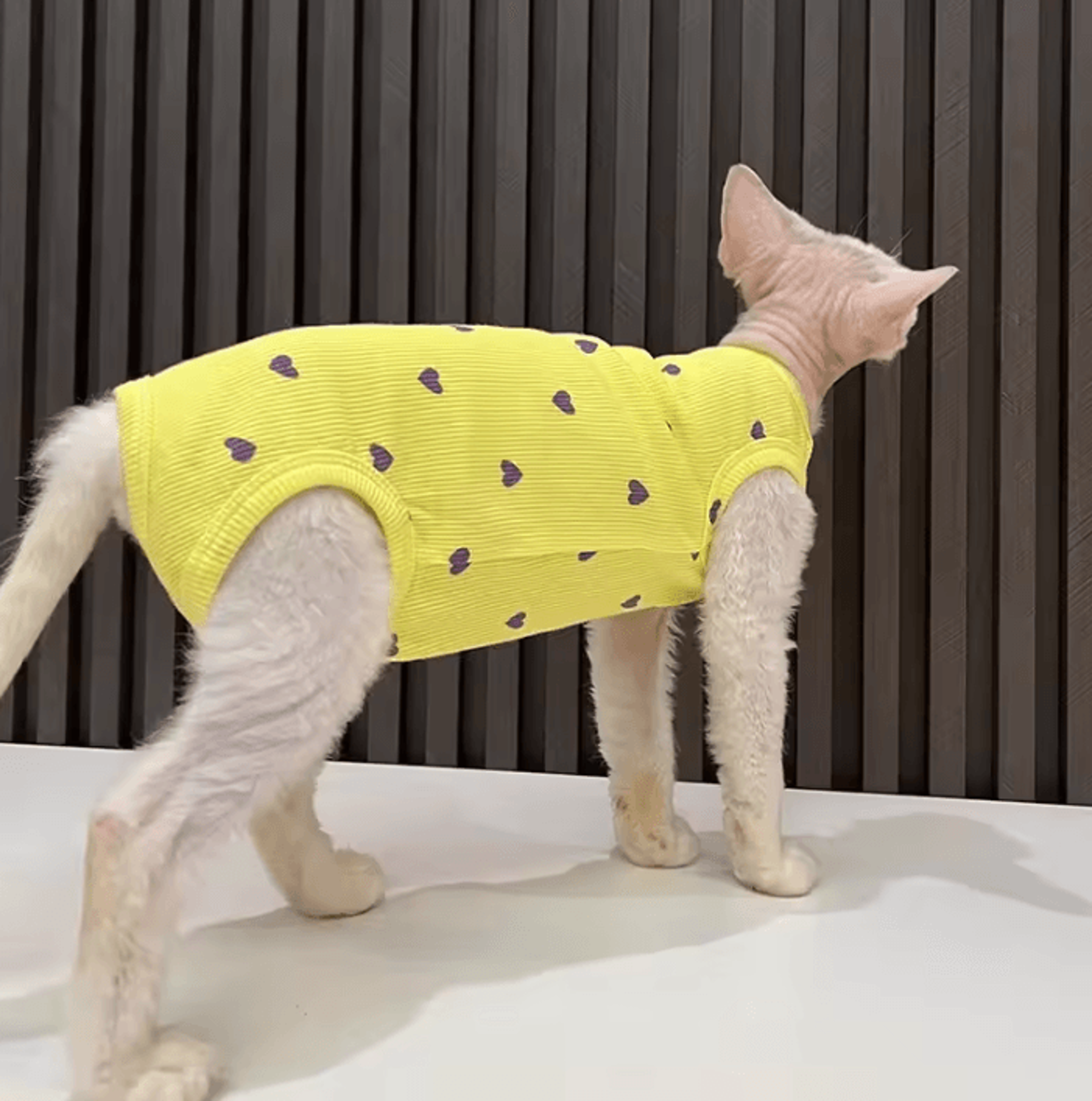 LoveCloud Lightweight Sphynx Cat Pajamas 2