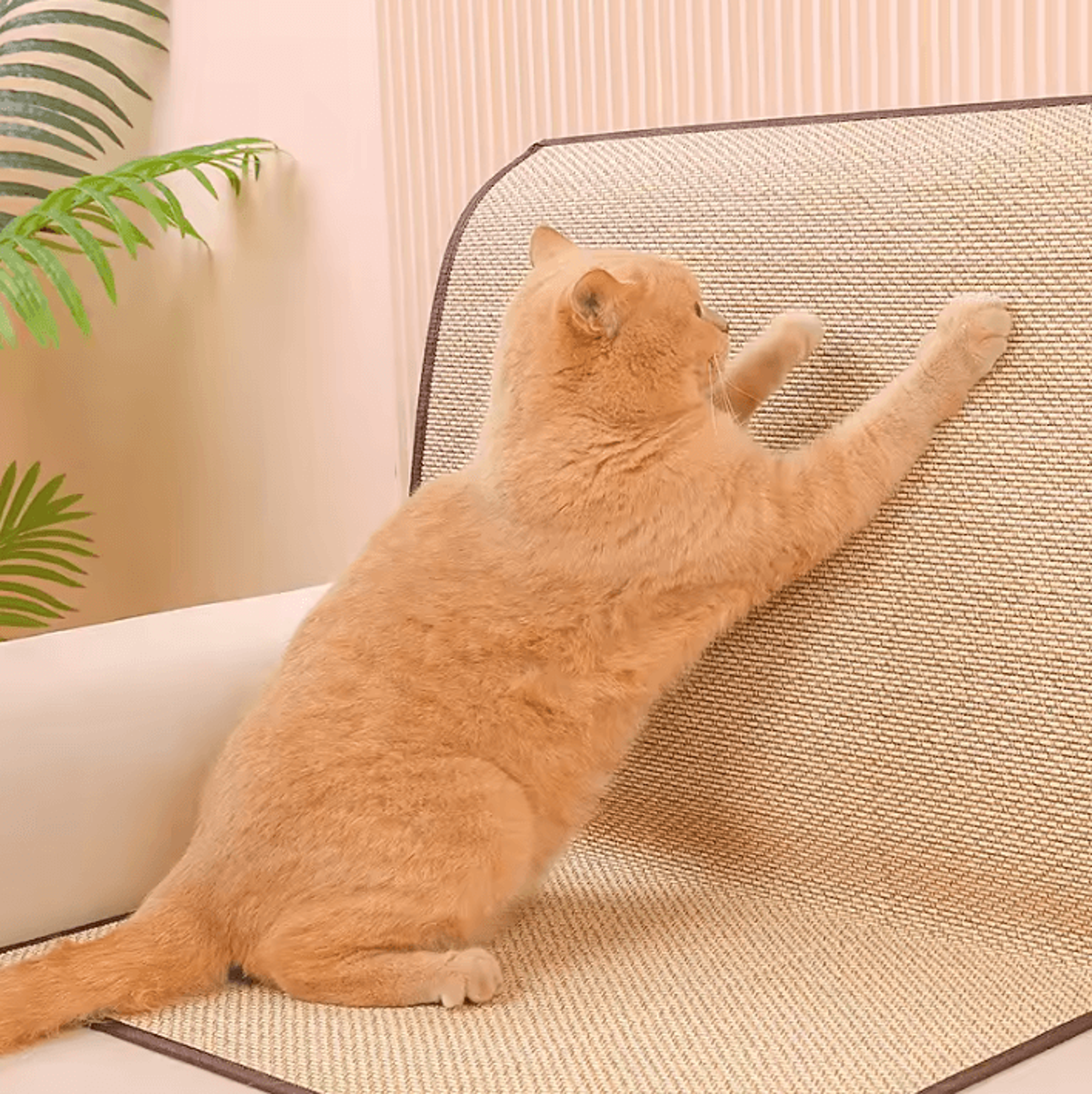 ScratchShield Couch  Sofa Cat Scratcher Protector Mat 1