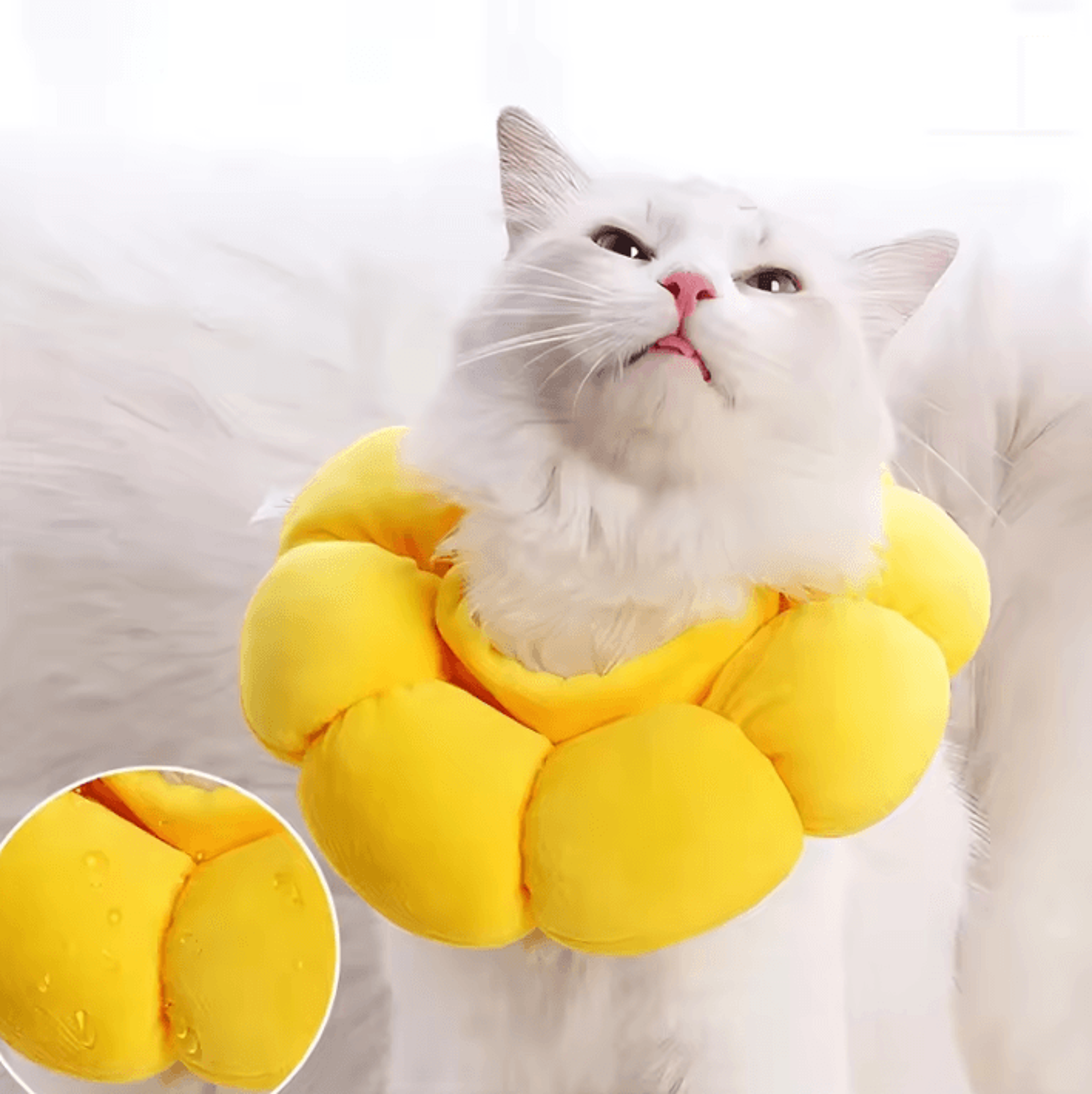 SunBloom Soft Recovery Collar For Cats  Kittens 0