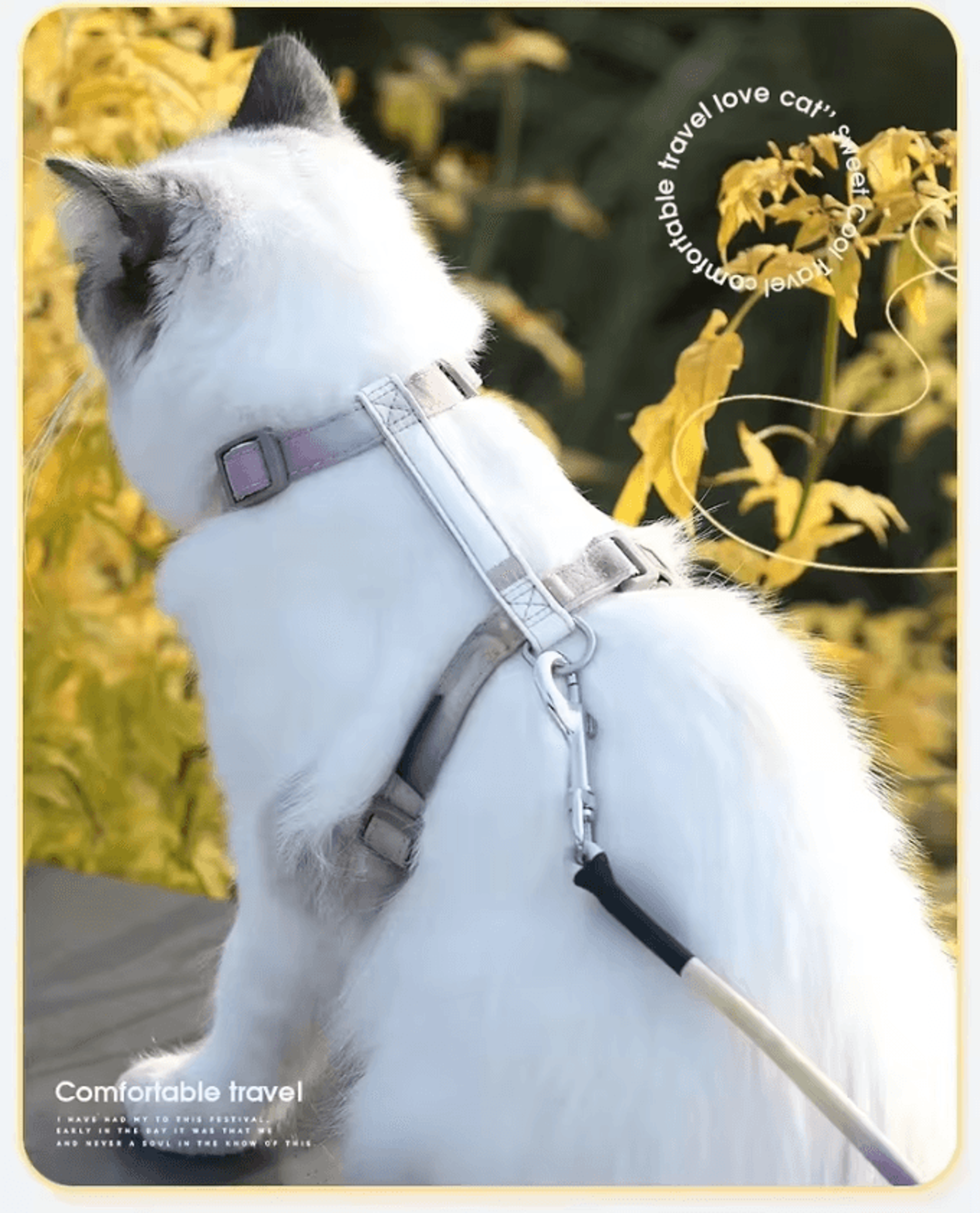 TrailPaws EscapeProof Cat Harness  Leash Set 2