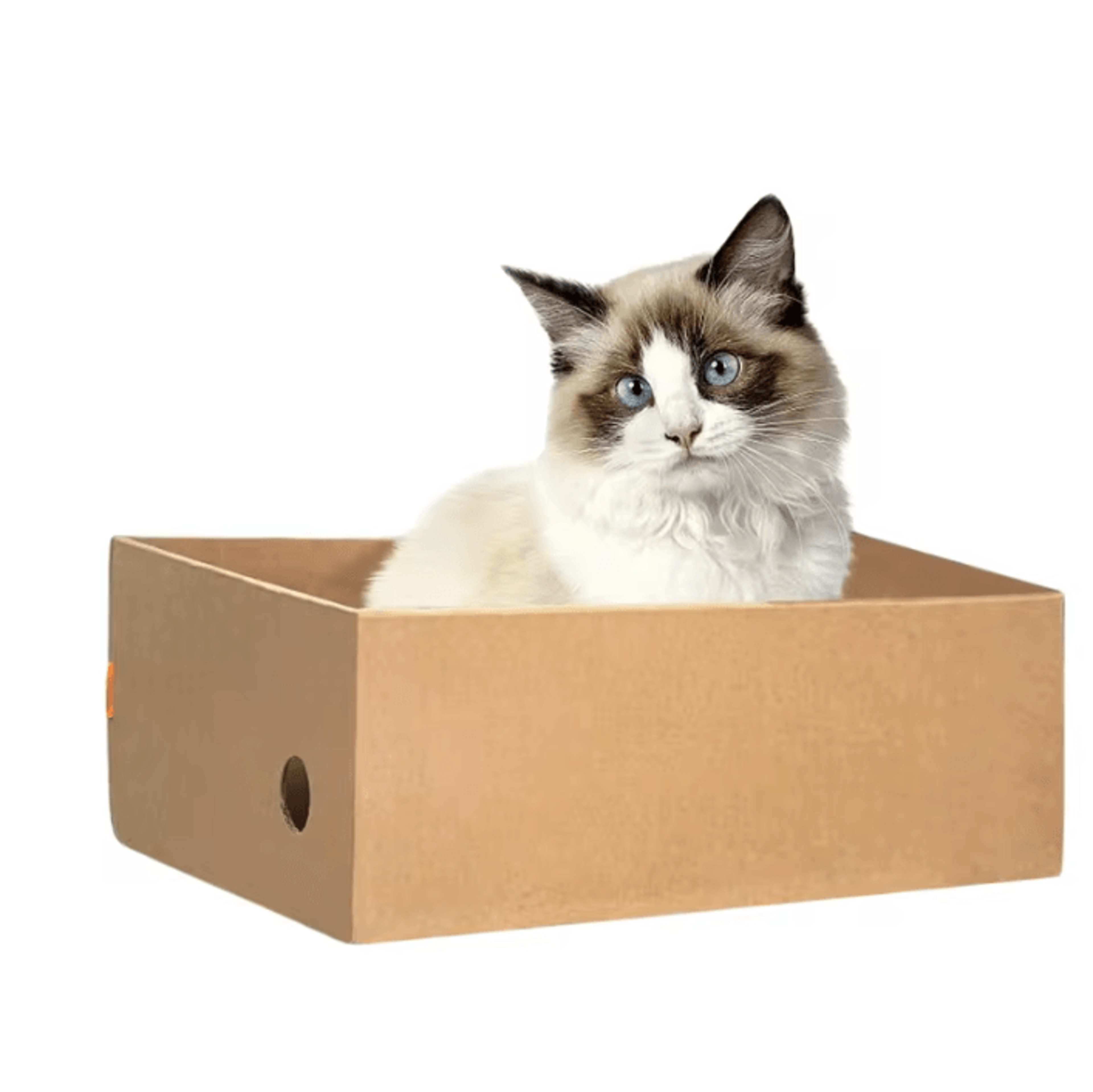 ScratchNest Cardboard Cat Scratching Box  Lounge Set For Indoor Cats 1