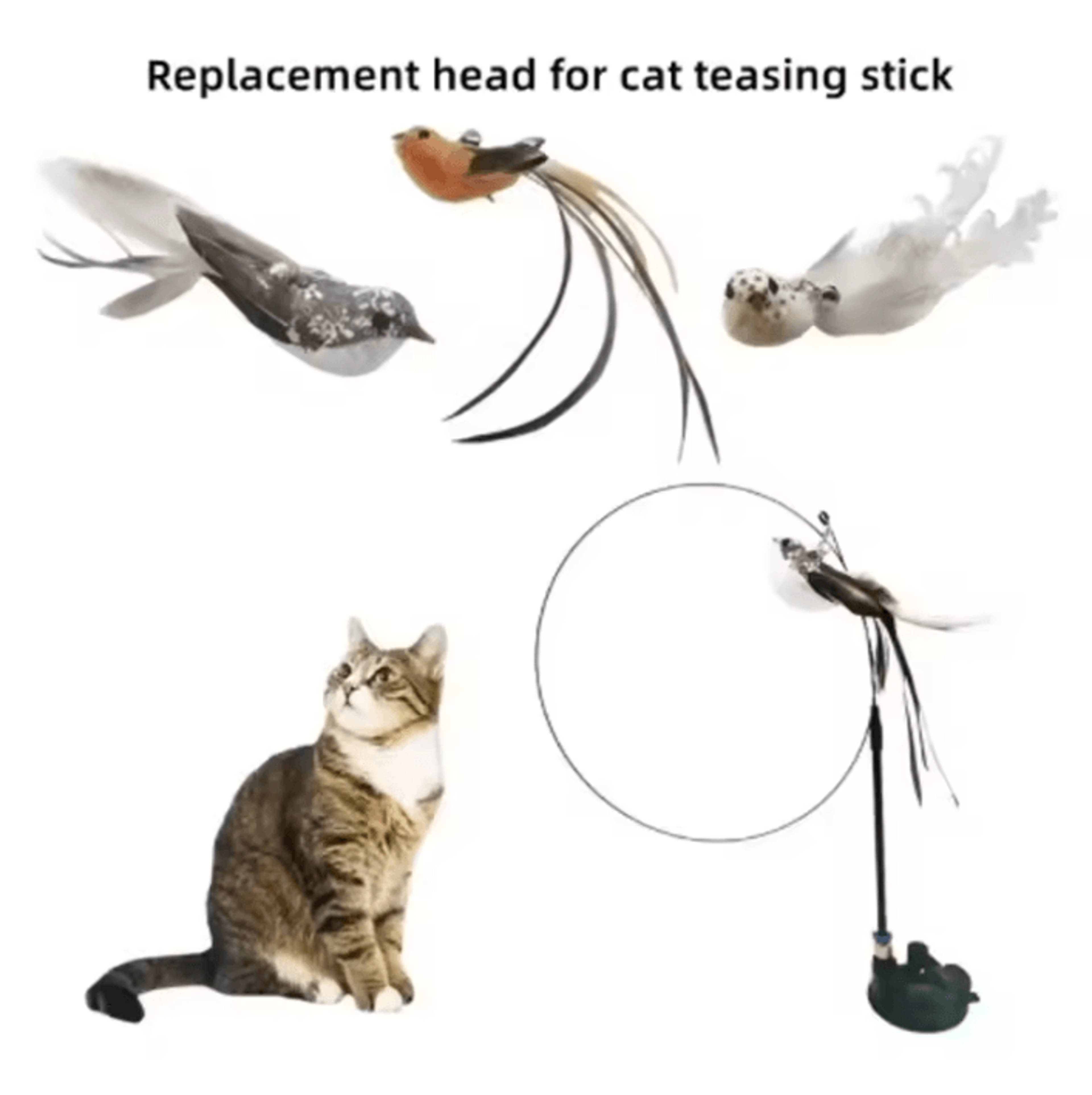 FlutterPounce Suction Cup Cat Teaser Wand  Interactive Feather Bird Toy For Indoor Cats 1