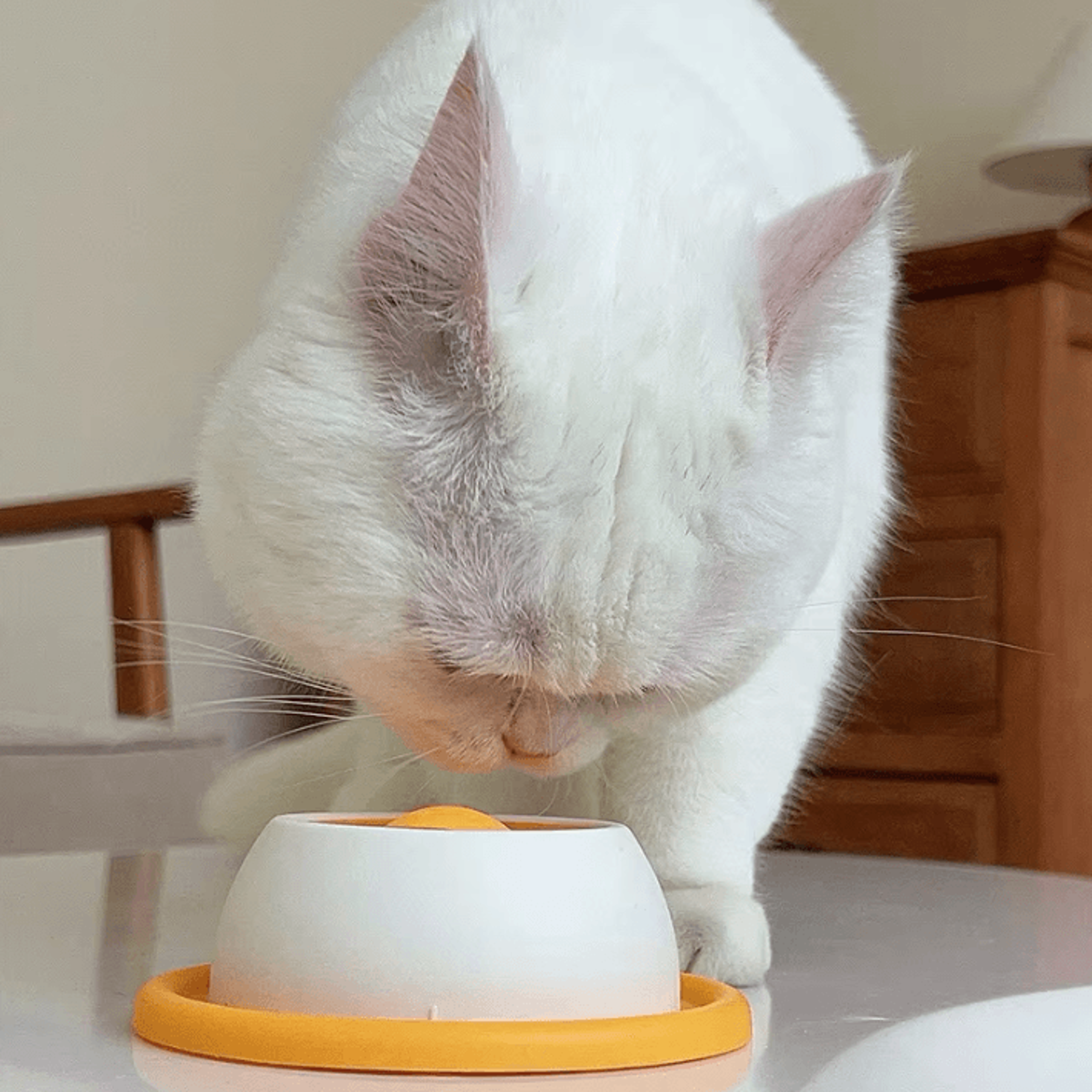 Interactive Slow Feeder Cat Bowl  Licking Mat Puzzle Toy 3