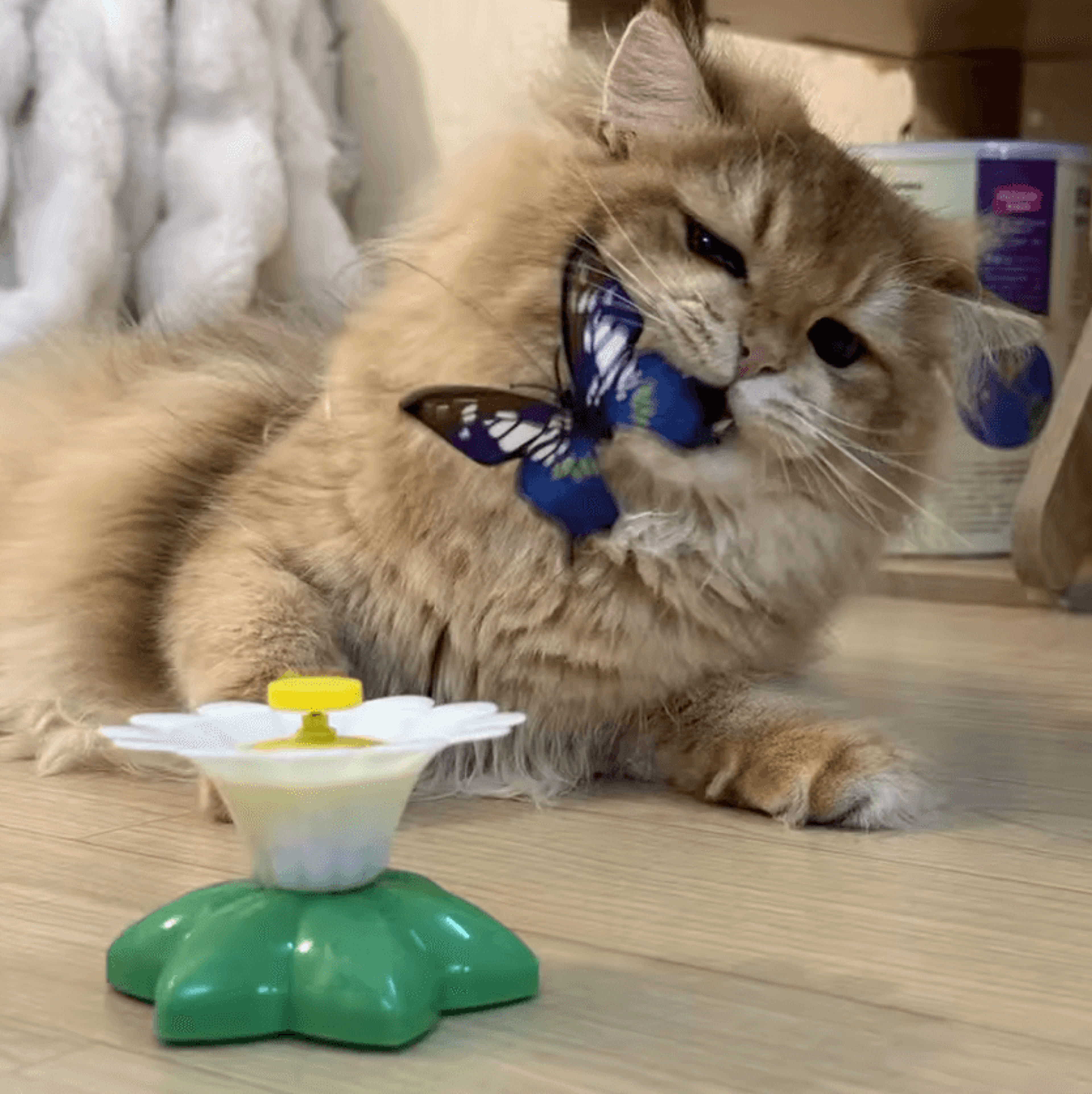 Automatic Rotating Butterfly  Bird Interactive Cat Toy 2