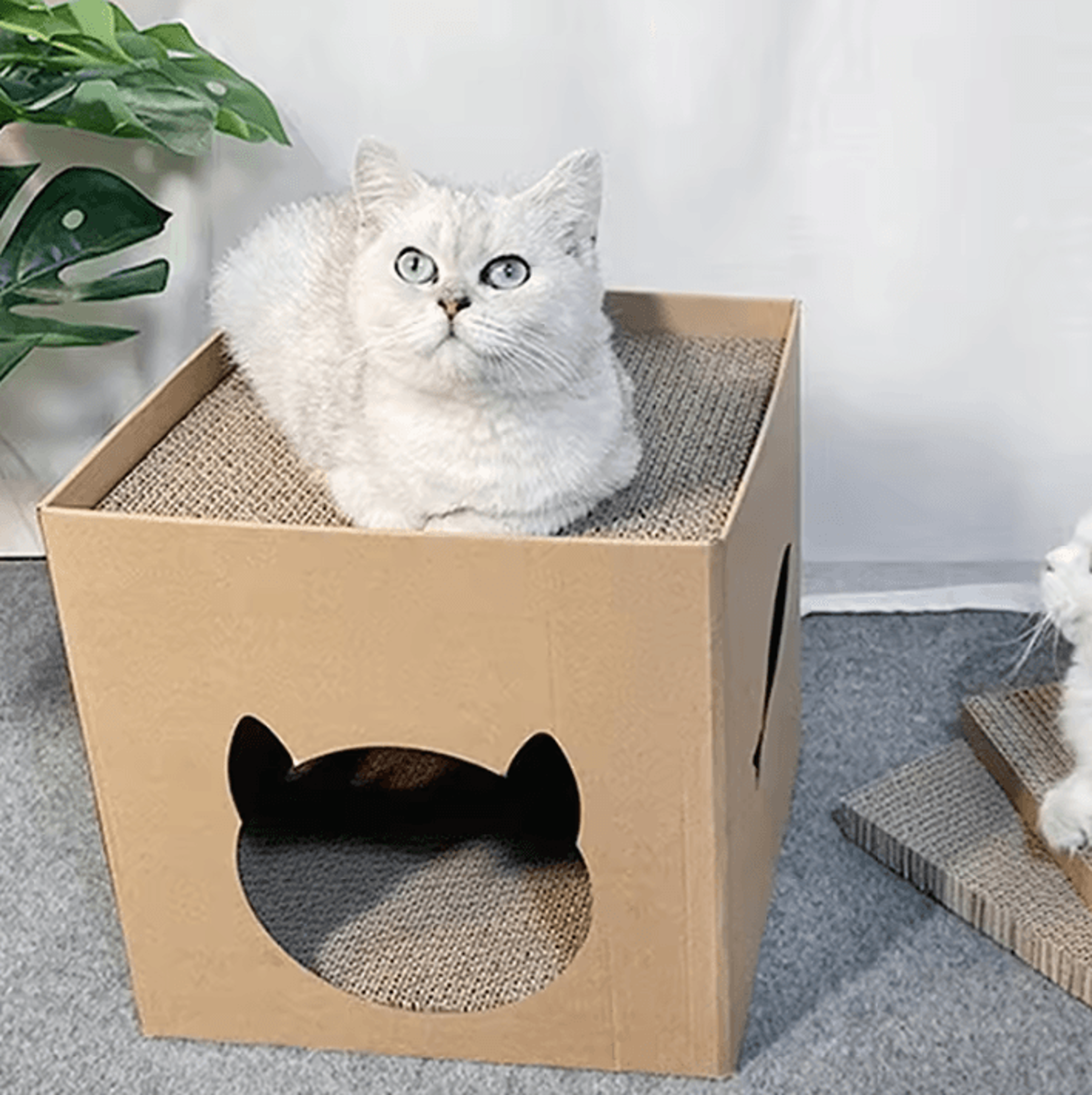 CozyScratch Foldable Cat House  Scratching Hideout 0