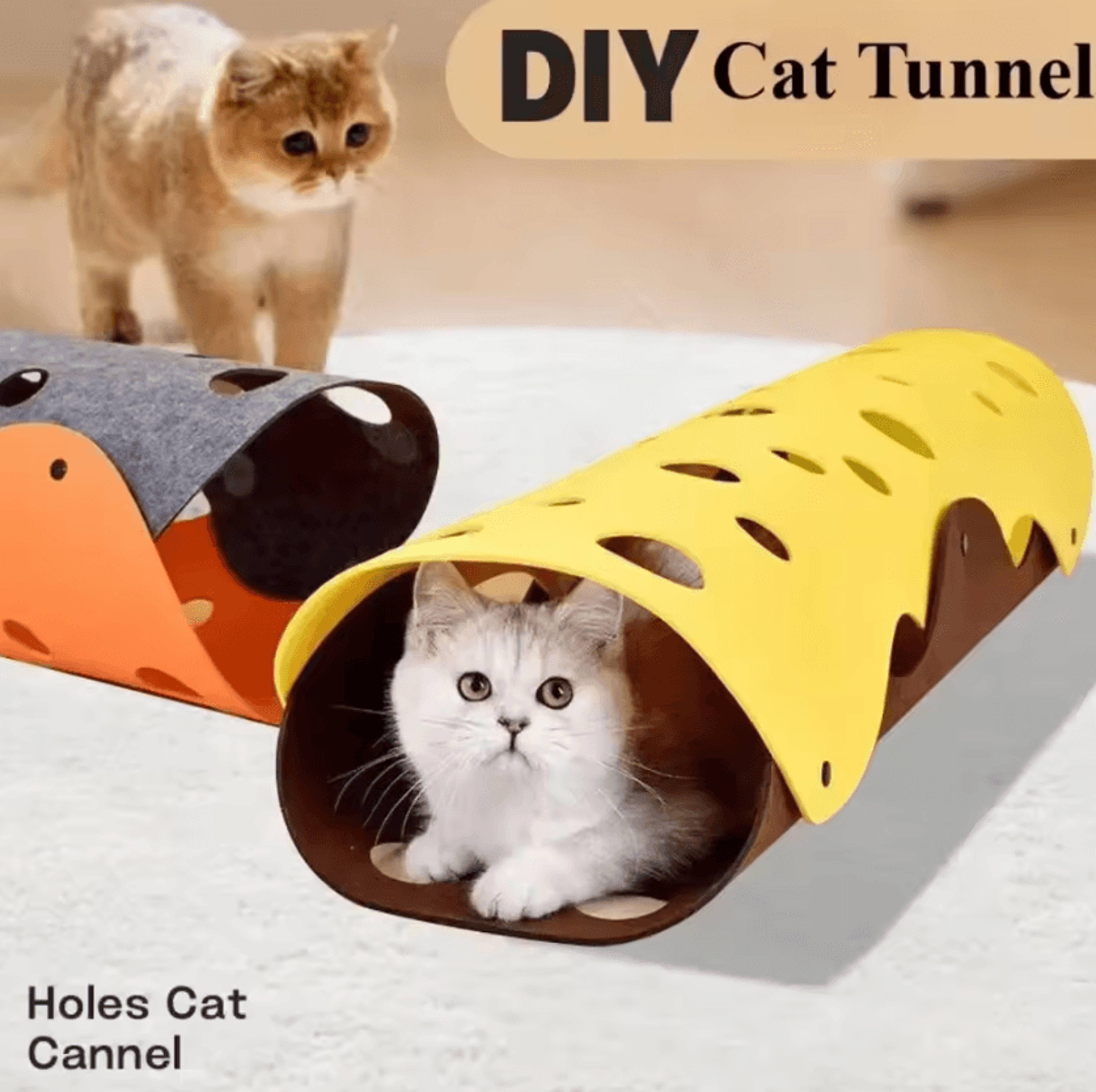 Foldable Cat Tunnel Bed  Activity Play Mat For Indoor Cats 2