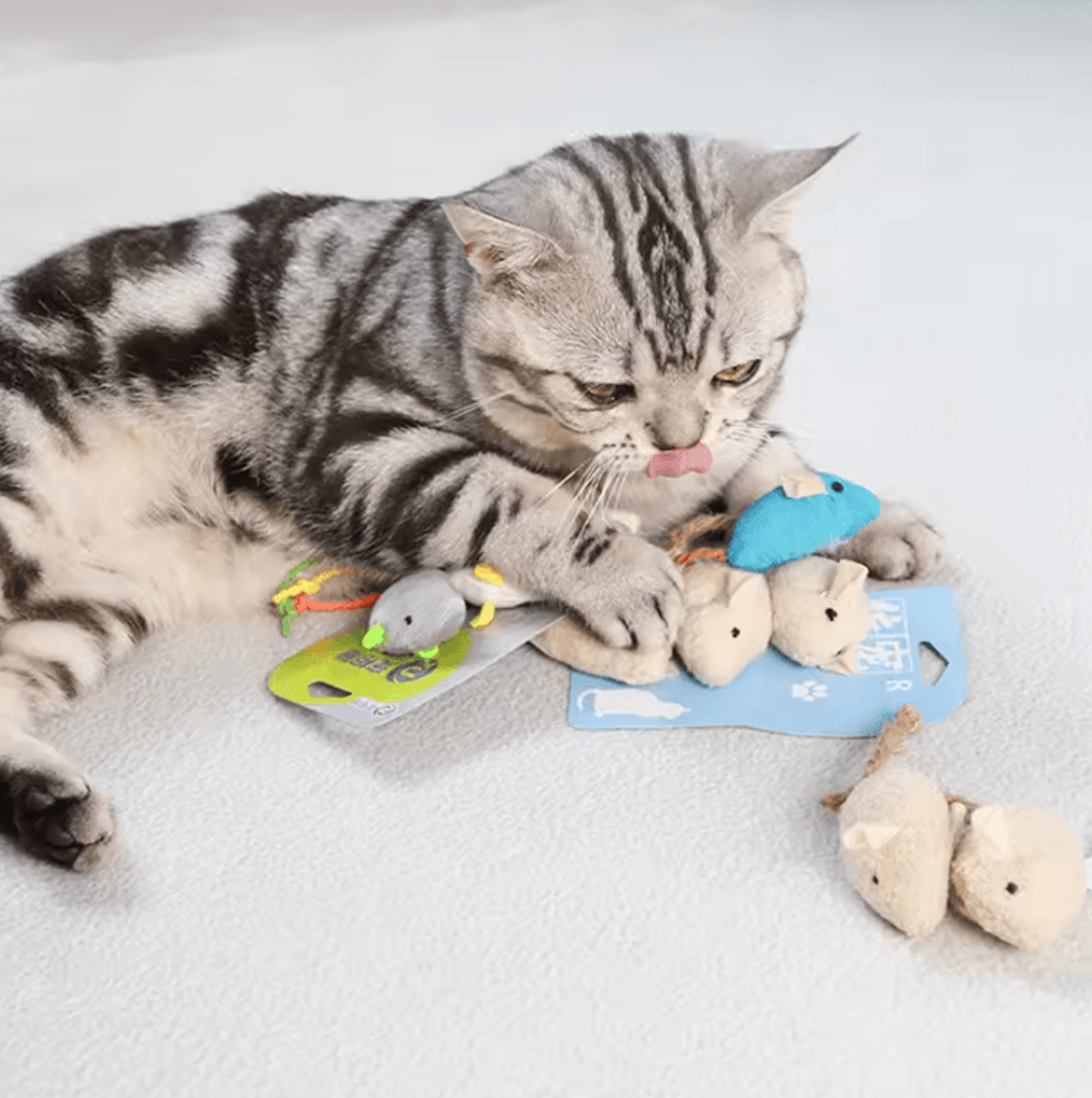 SnuggleNest Cozy Cat Bed House  Plush Pet Retreat 3