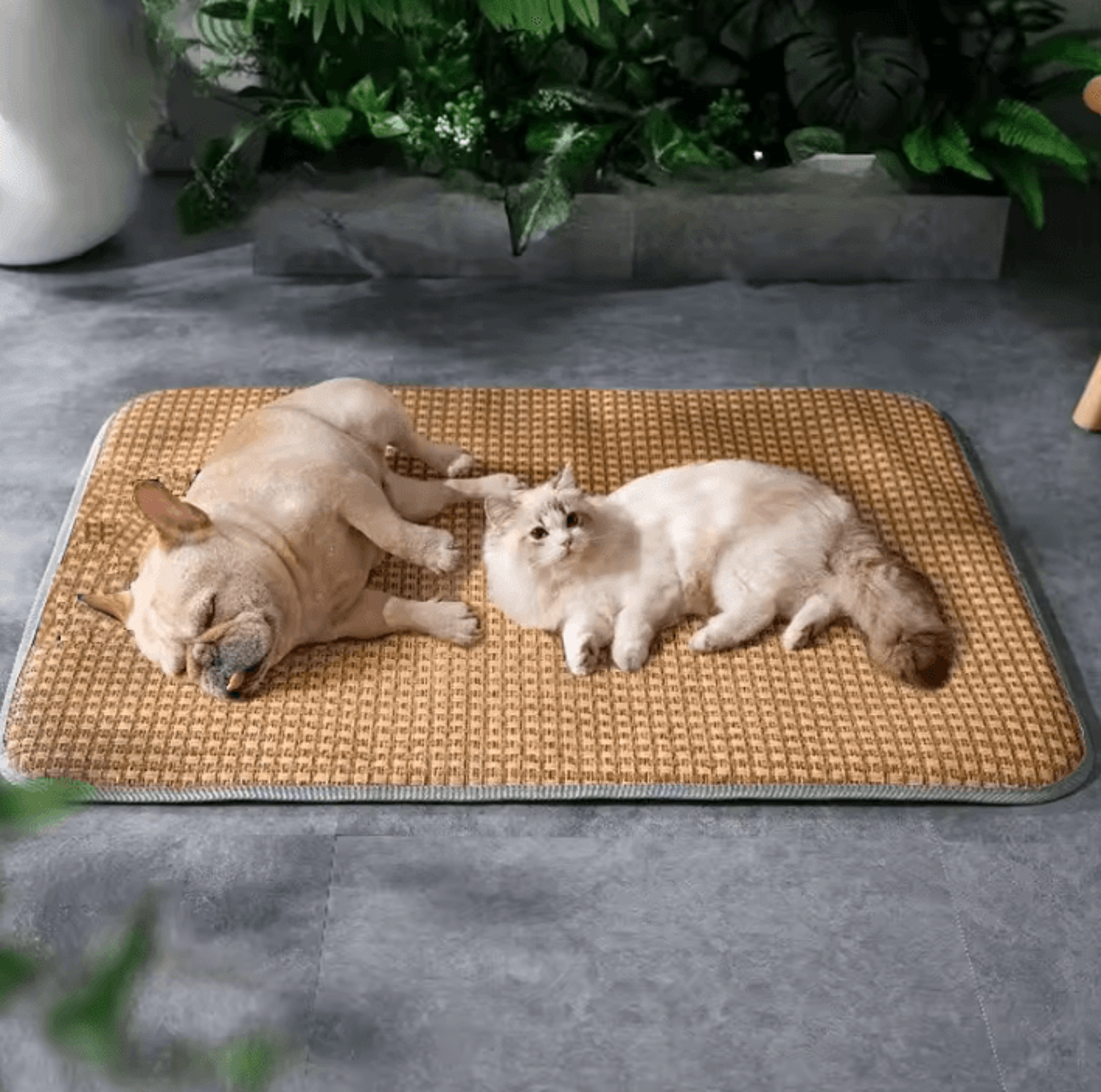 CoolPaws Cooling Pet Mat  Summer Comfort Bed For Dogs  Cats 0