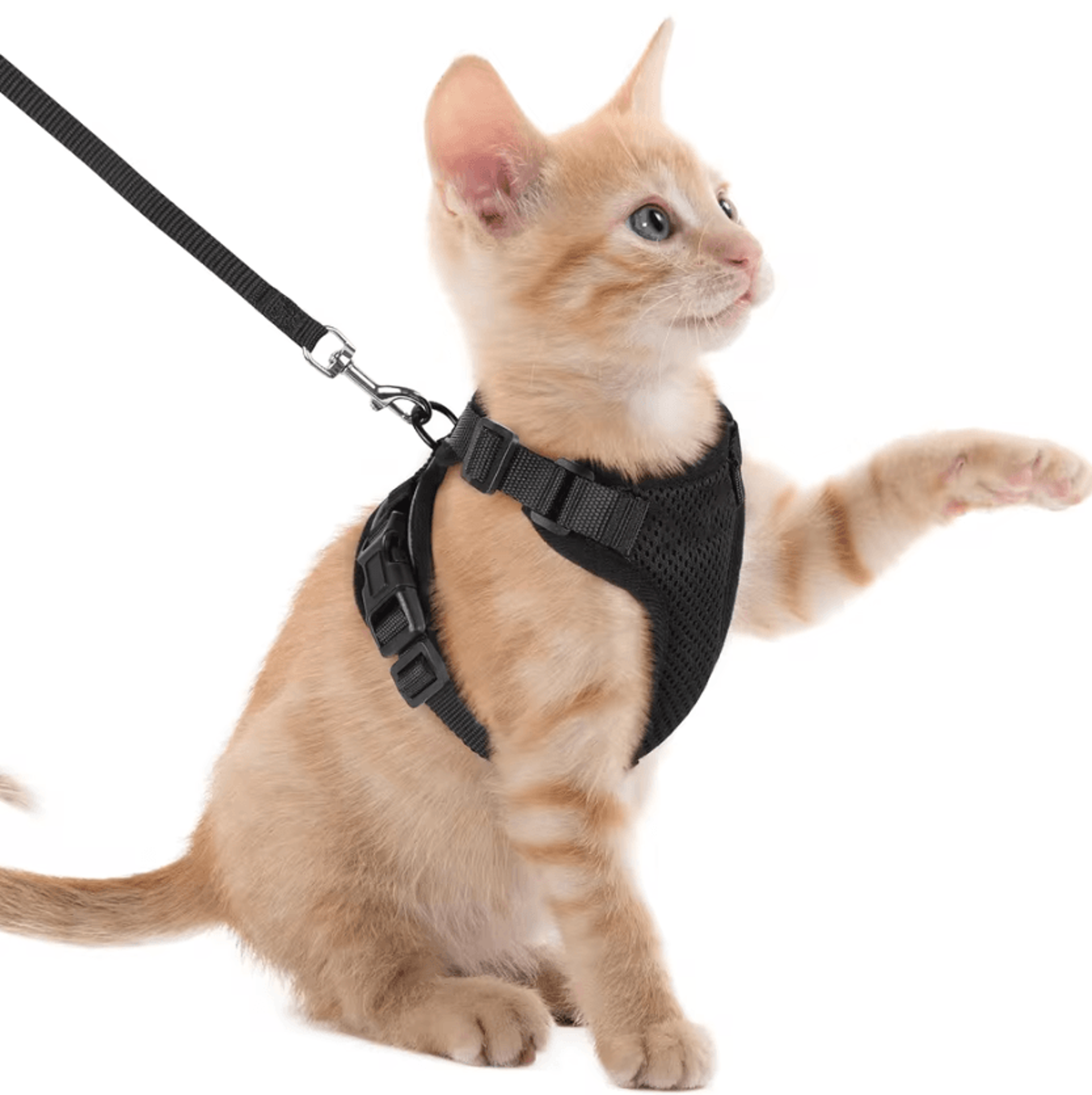 Reflective EscapeProof Cat Harness  Leash Set For Safe Outdoor Adventures 3