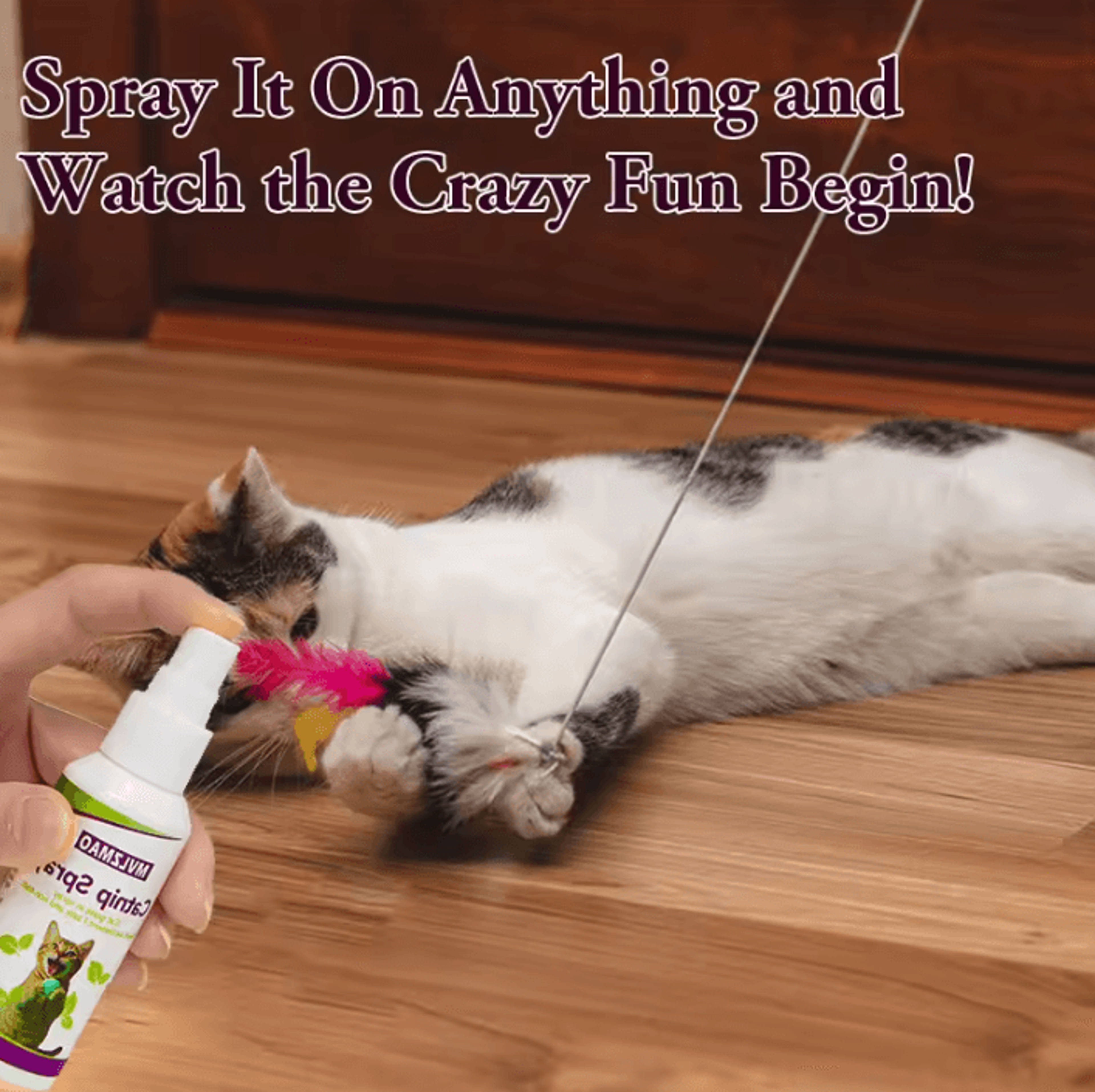Catnip Training Spray For Cats  Kittens  60ml Scratch  Play Attraction Mist 2