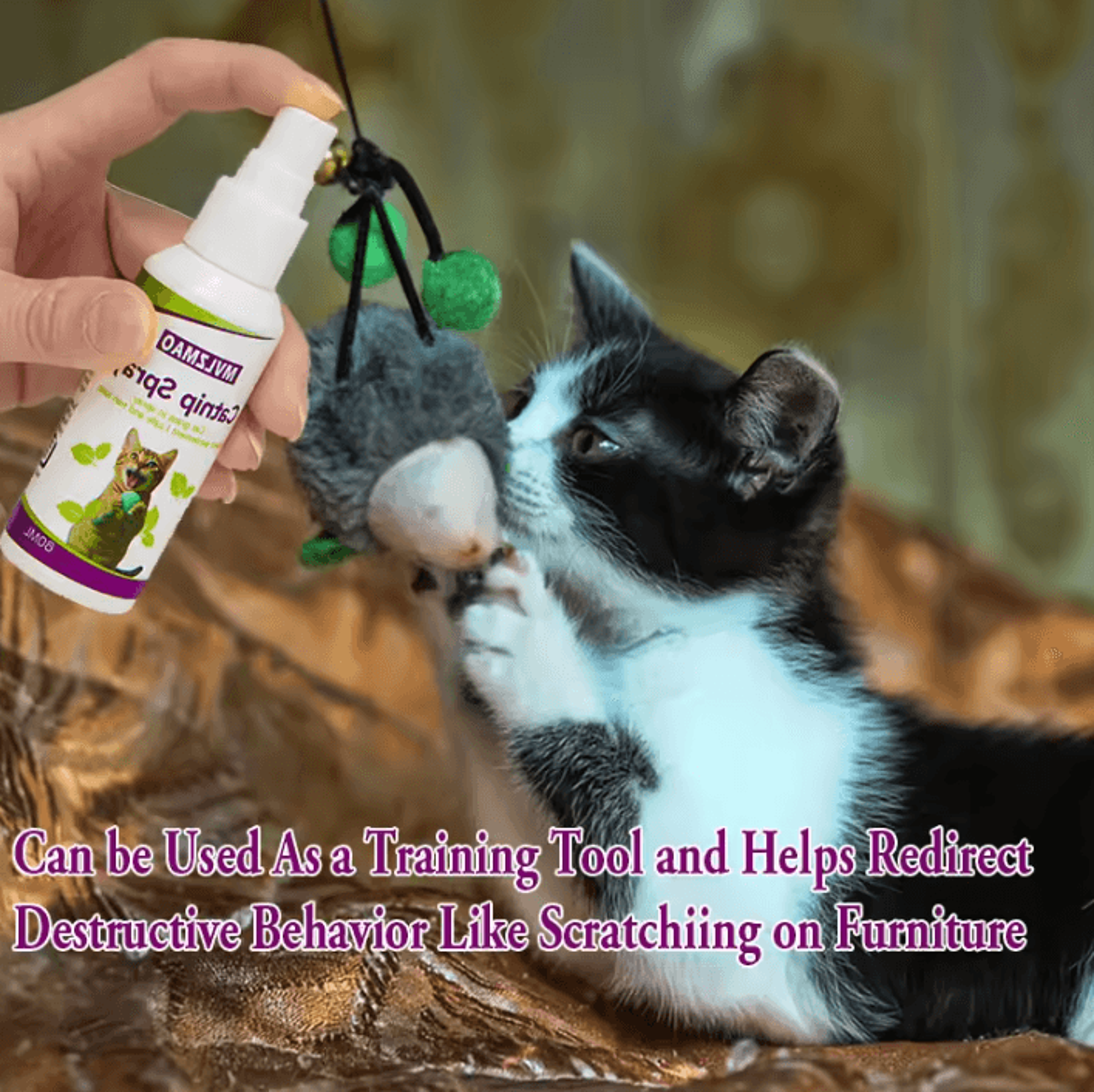 Catnip Training Spray For Cats  Kittens  60ml Scratch  Play Attraction Mist 3