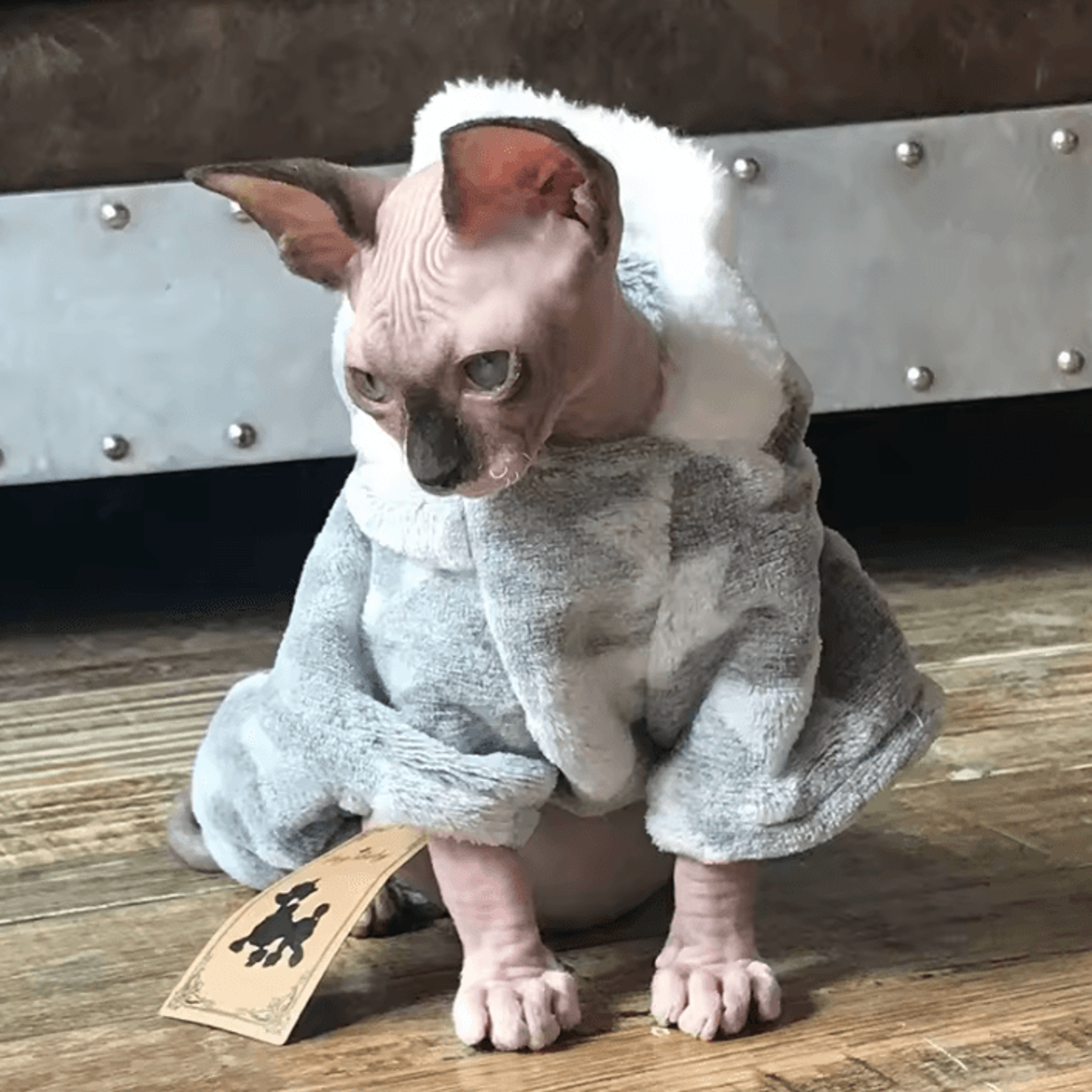 CozyFleece Winter Pet Pullover For Cats  Small Dogs 0