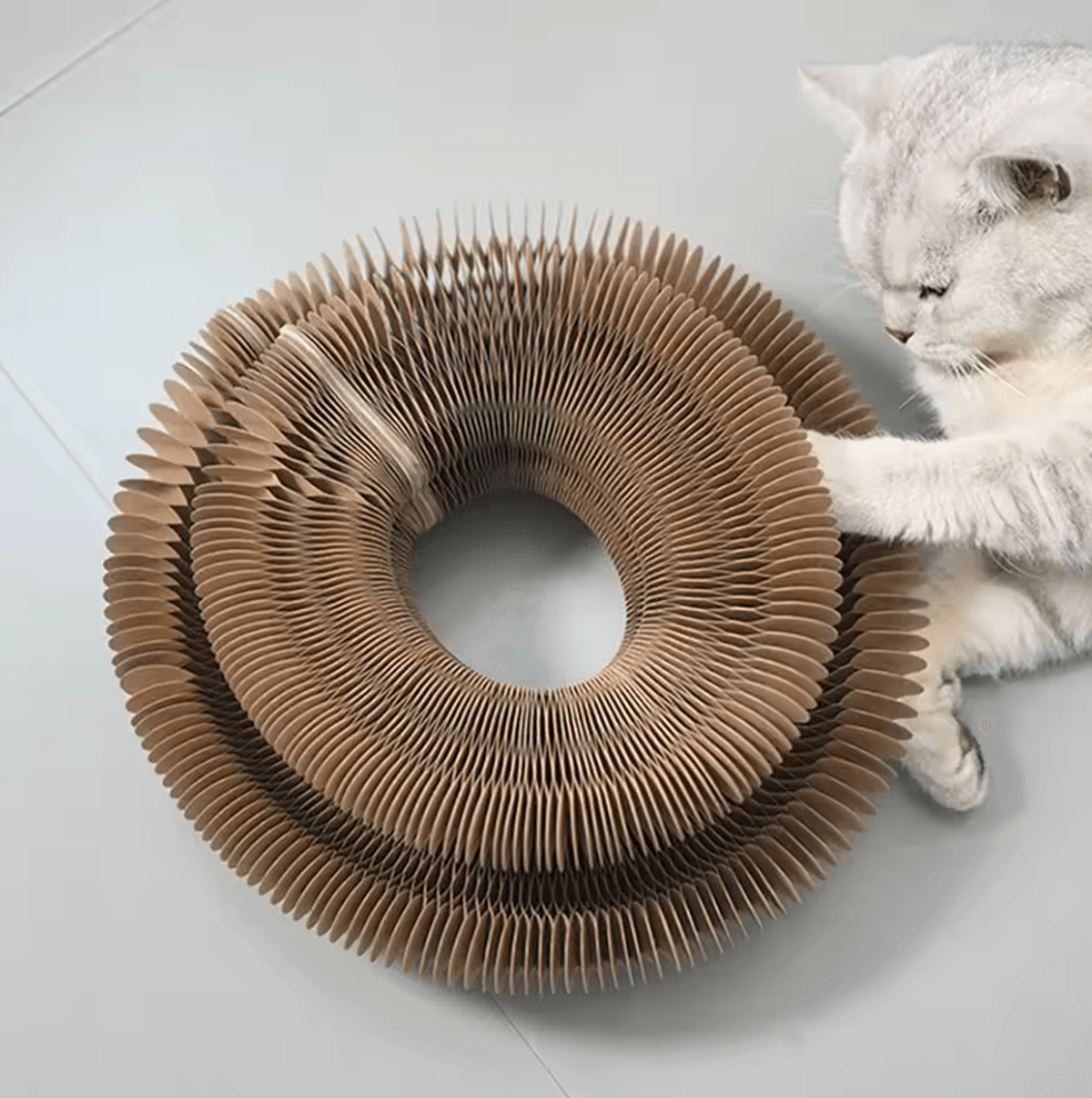 FlexiScratch Accordion Cat Scratcher Bed Set 3