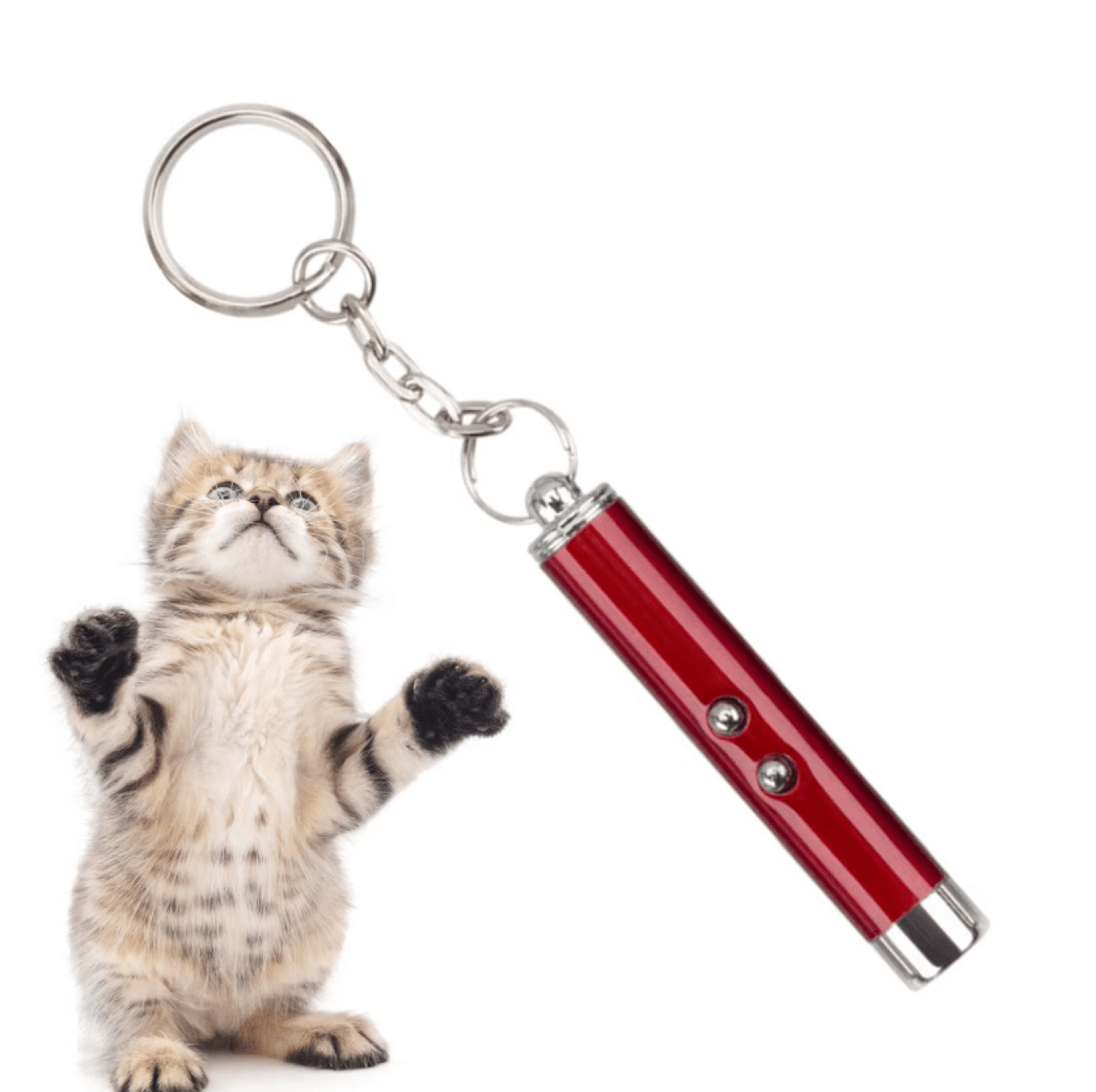 ChaseBeam Interactive Cat Laser Pointer 1