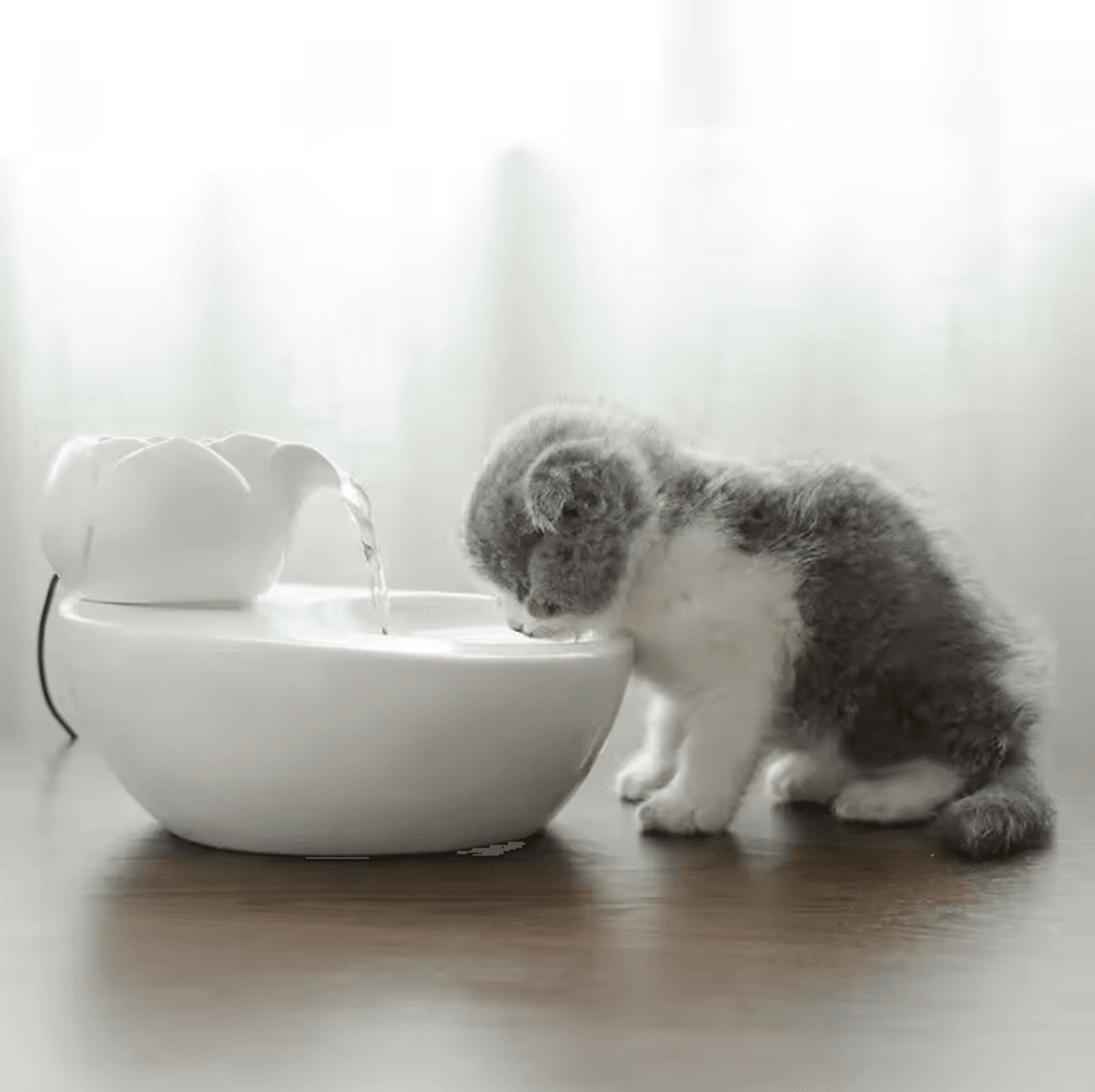 AquaCeramic USB Pet Water Fountain 1