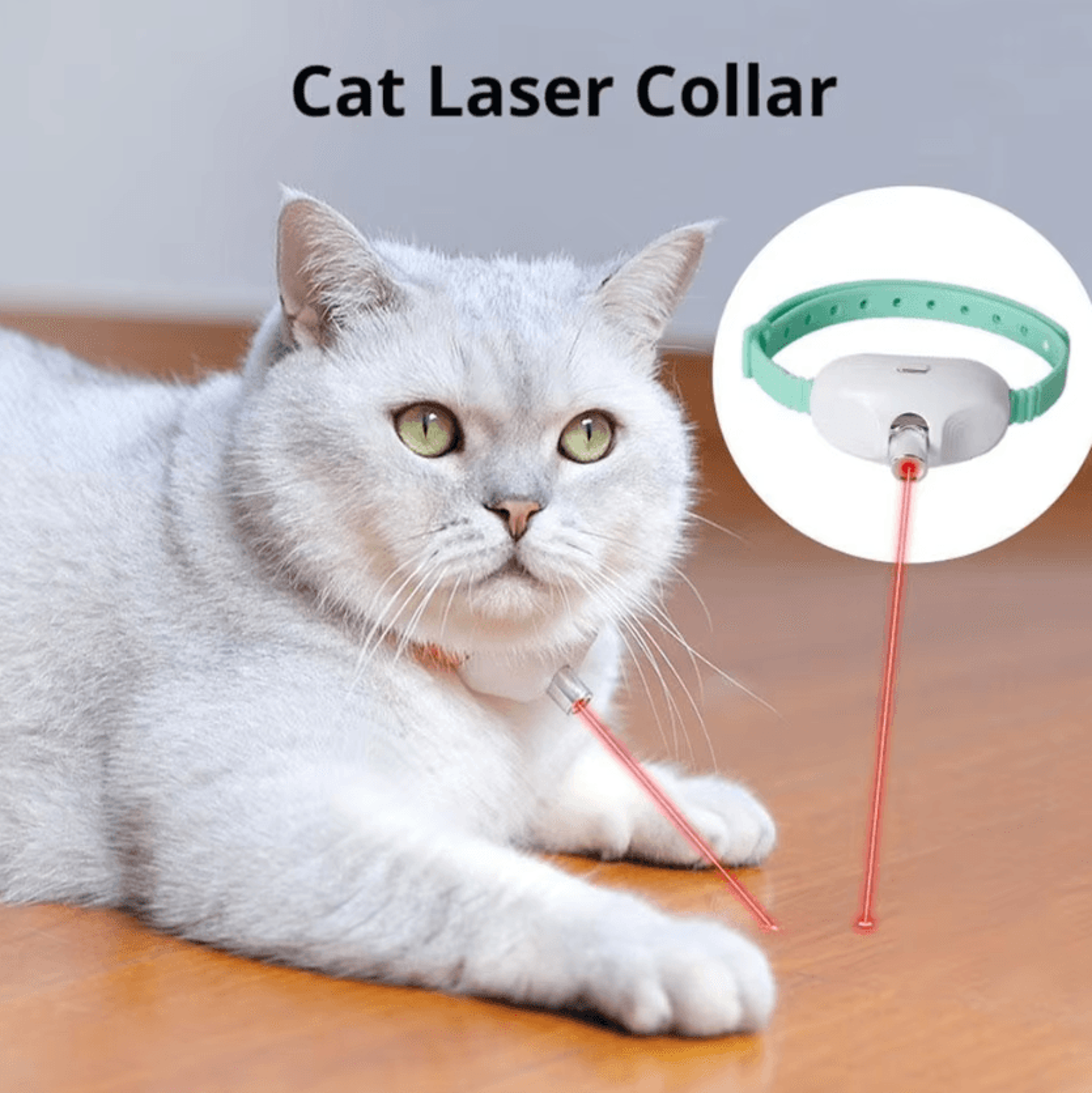 LaserPaws Smart Rechargeable Cat Laser Collar 3
