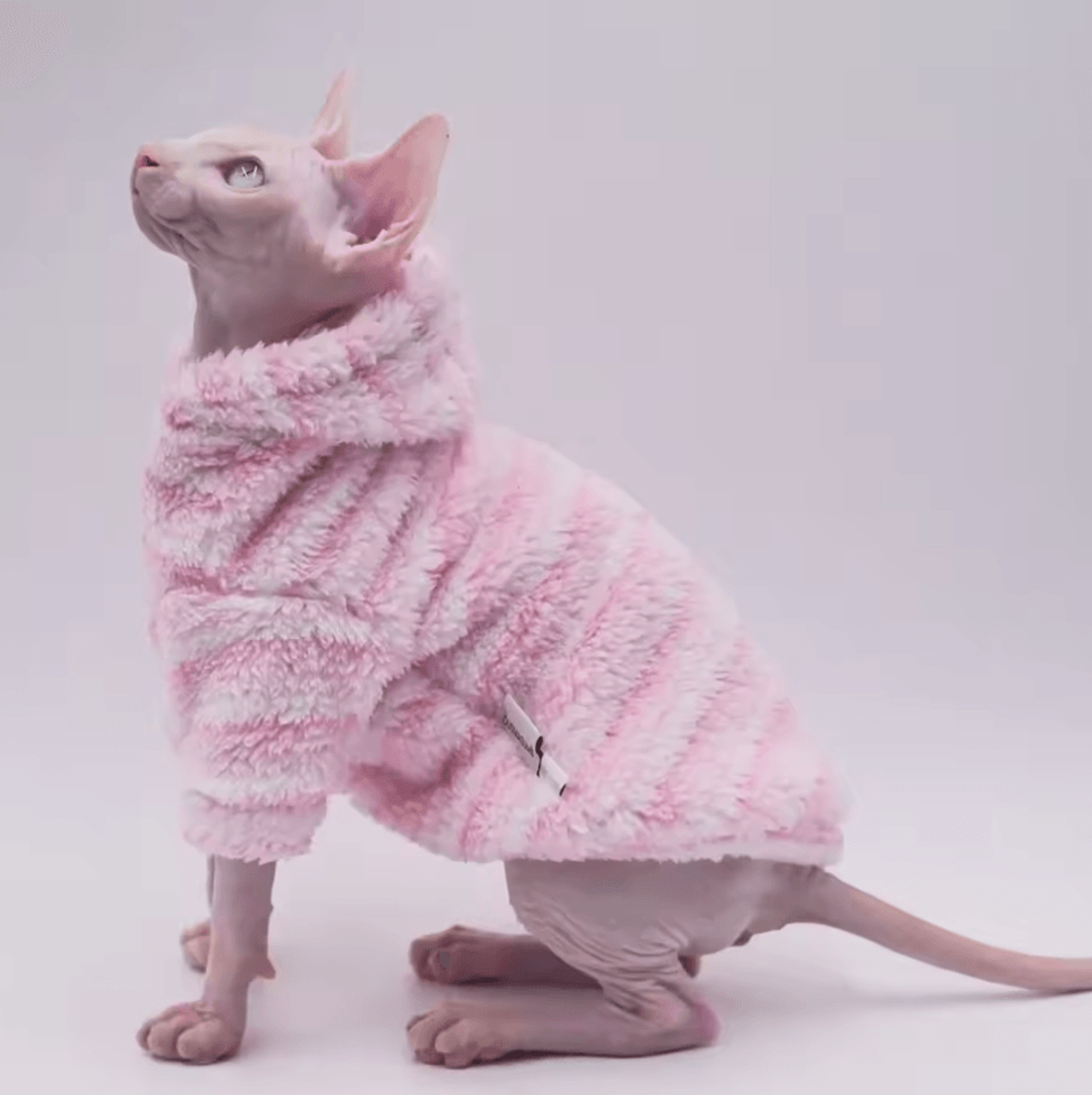 ArcticPaws DoubleSided Winter Coat For Sphynx Cats 3