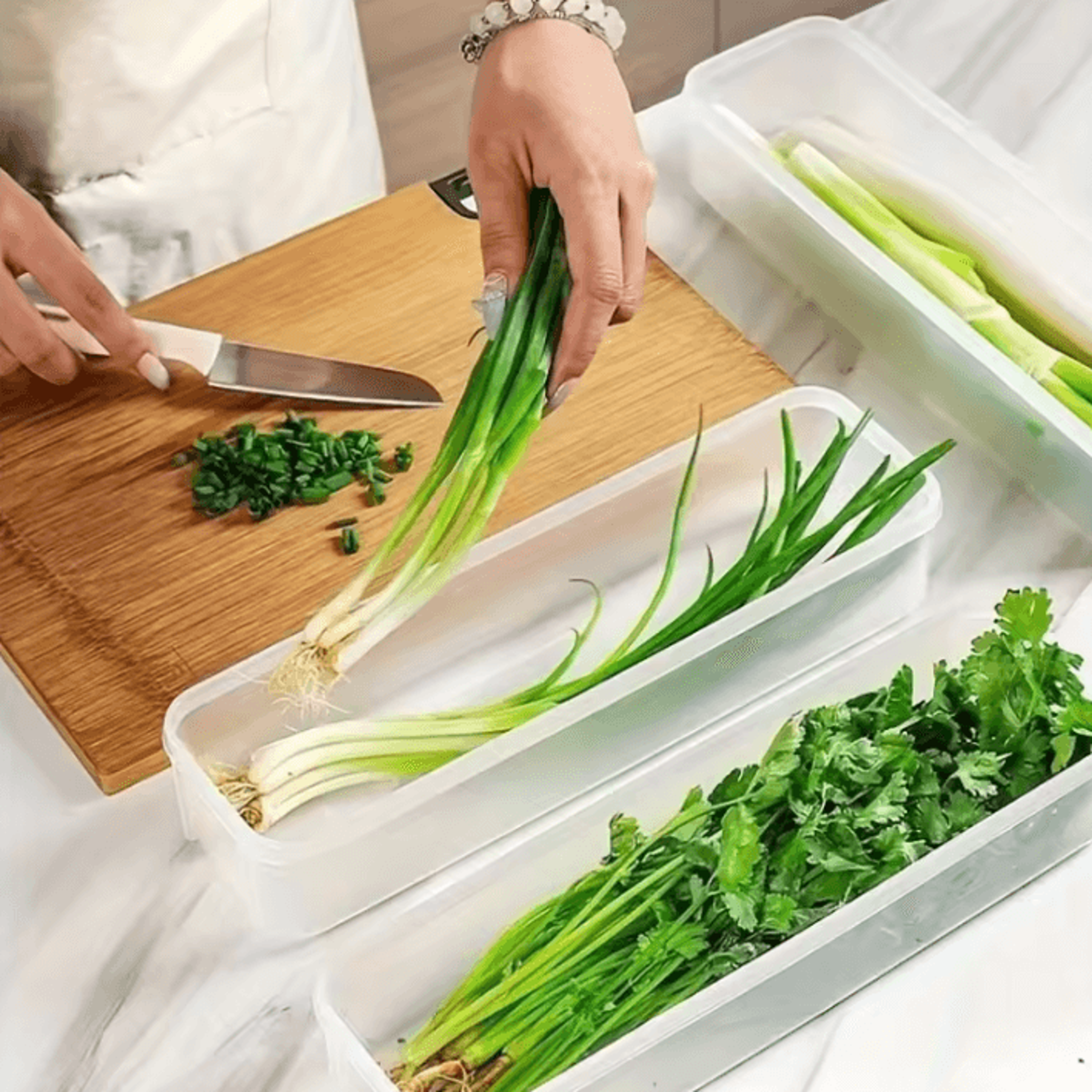 FreshGuard Herb  Vegetable Storage Container 1