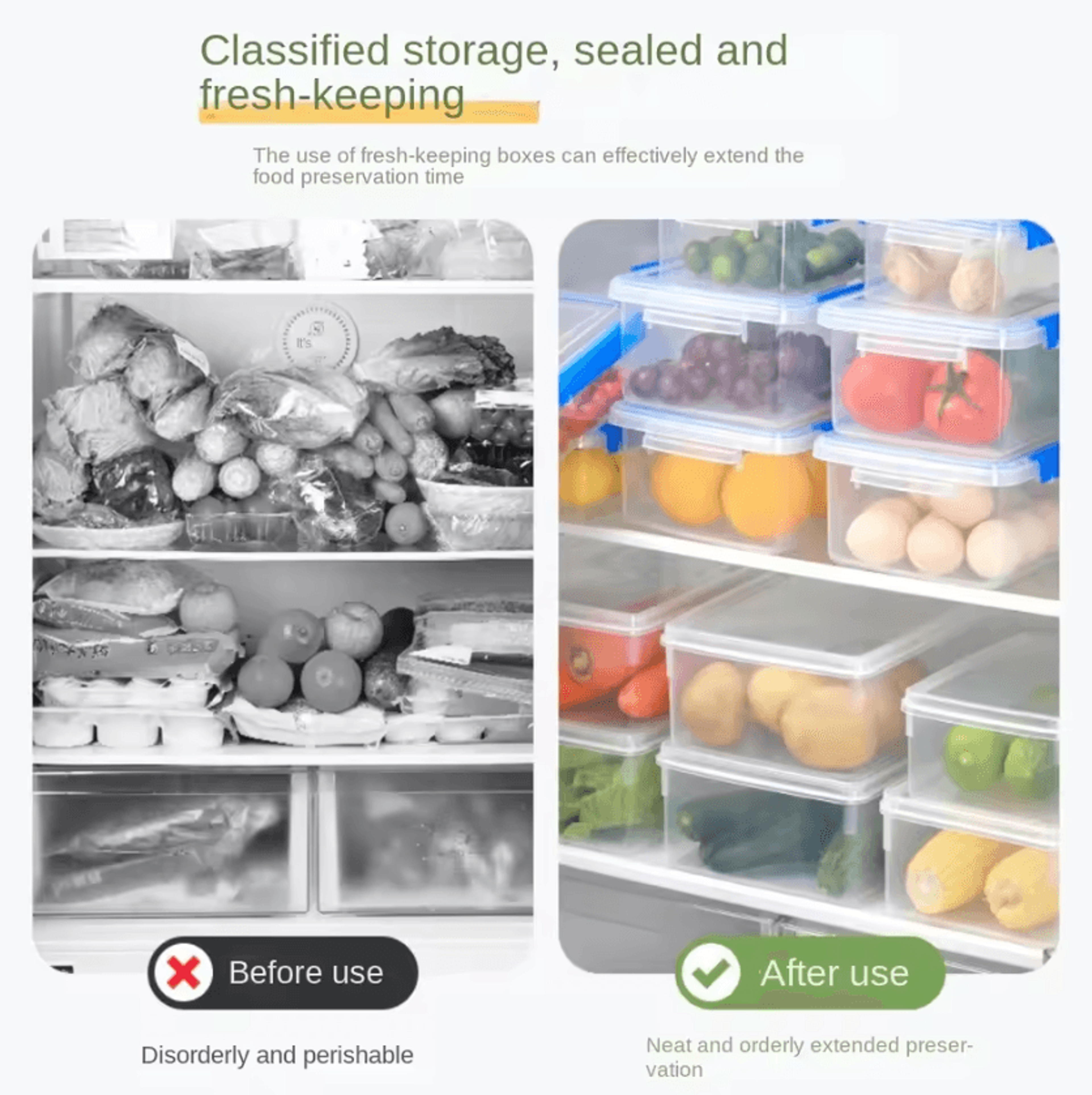 FreshLock Transparent Food Storage Container 2
