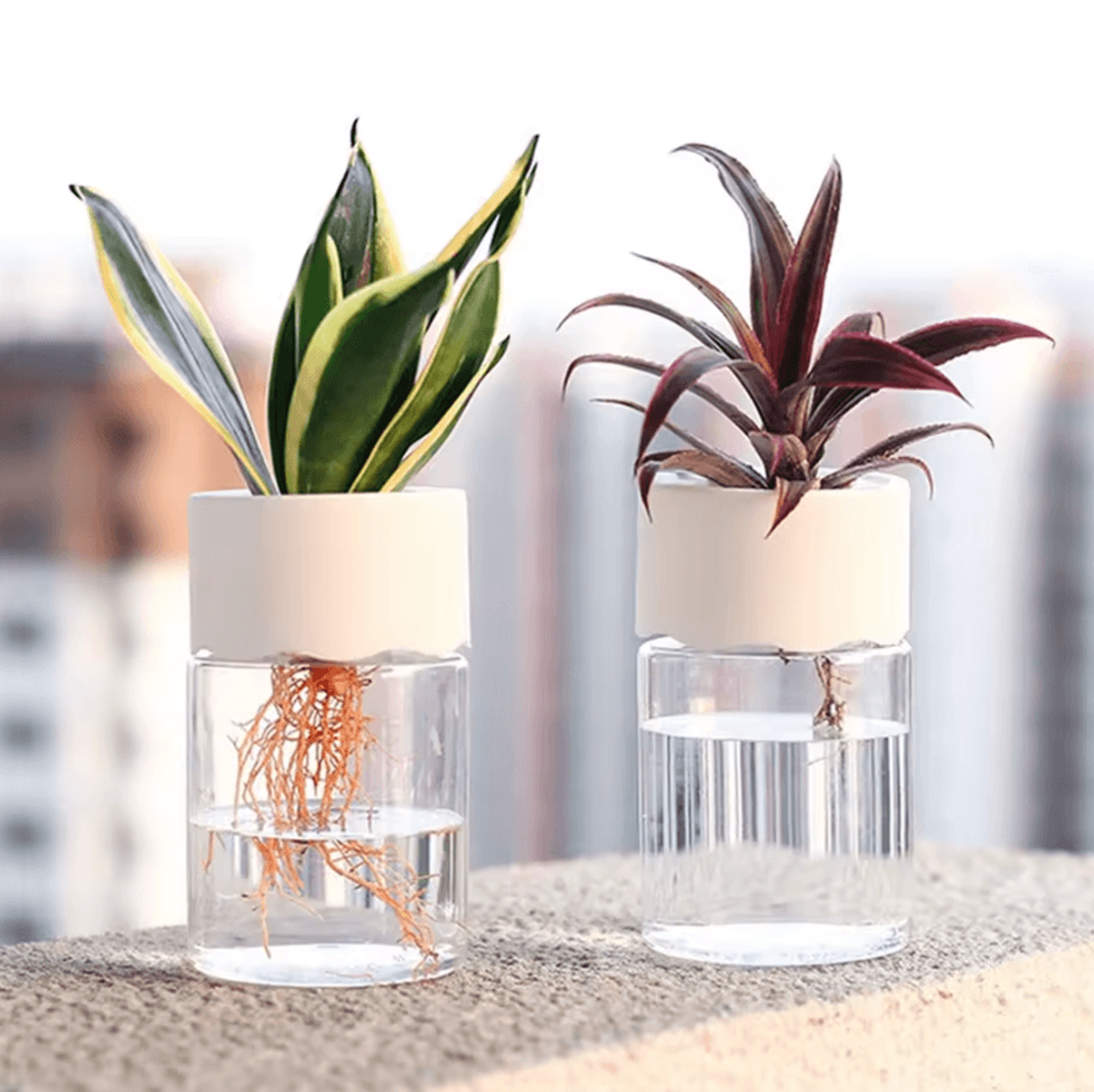 Mini Hydroponic GlassStyle Vase  Hydroponic Plant Vase For Soilless Plants Cuttings  Home Desk Deco 0
