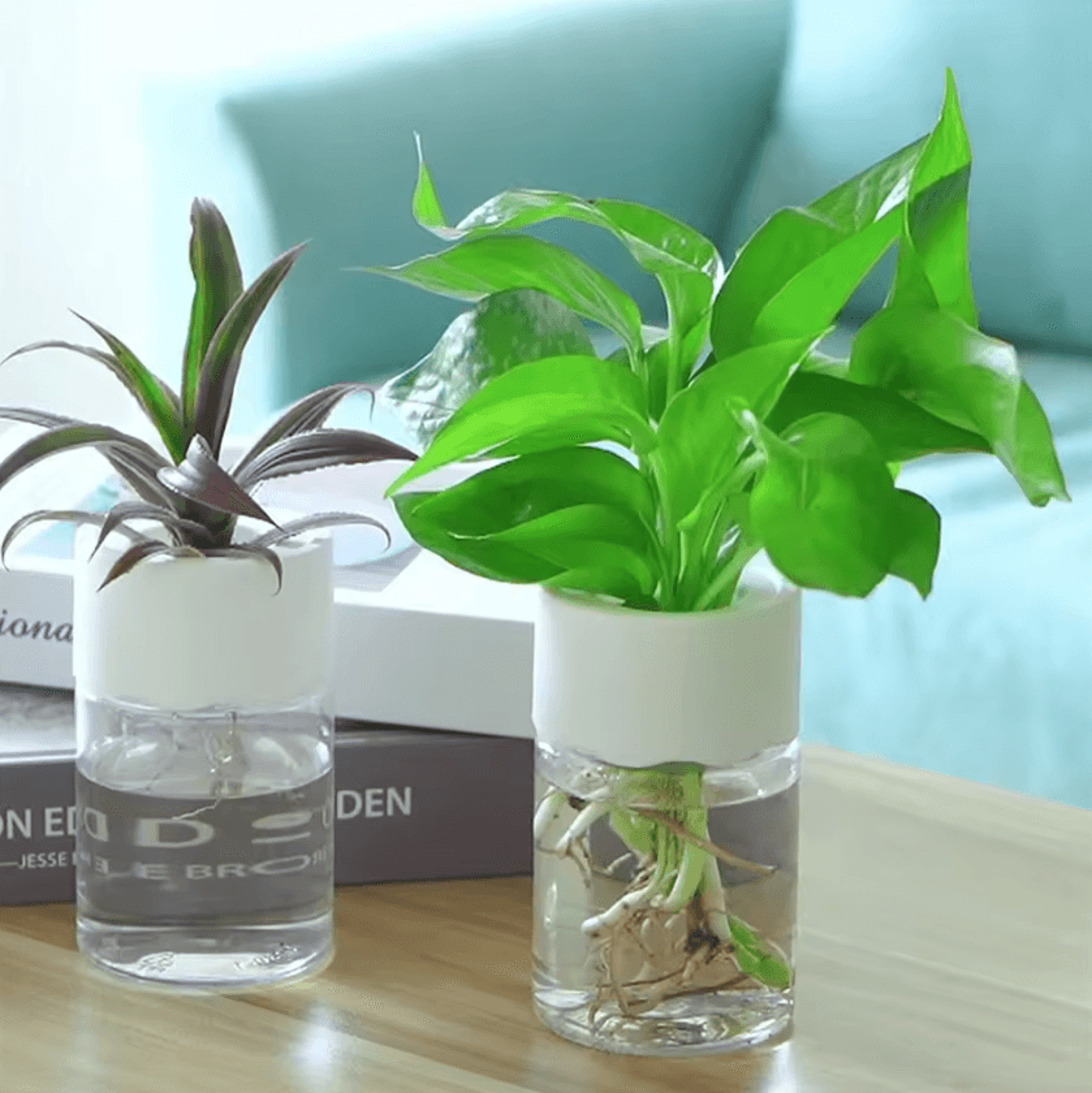 Mini Hydroponic GlassStyle Vase  Hydroponic Plant Vase For Soilless Plants Cuttings  Home Desk Deco 3