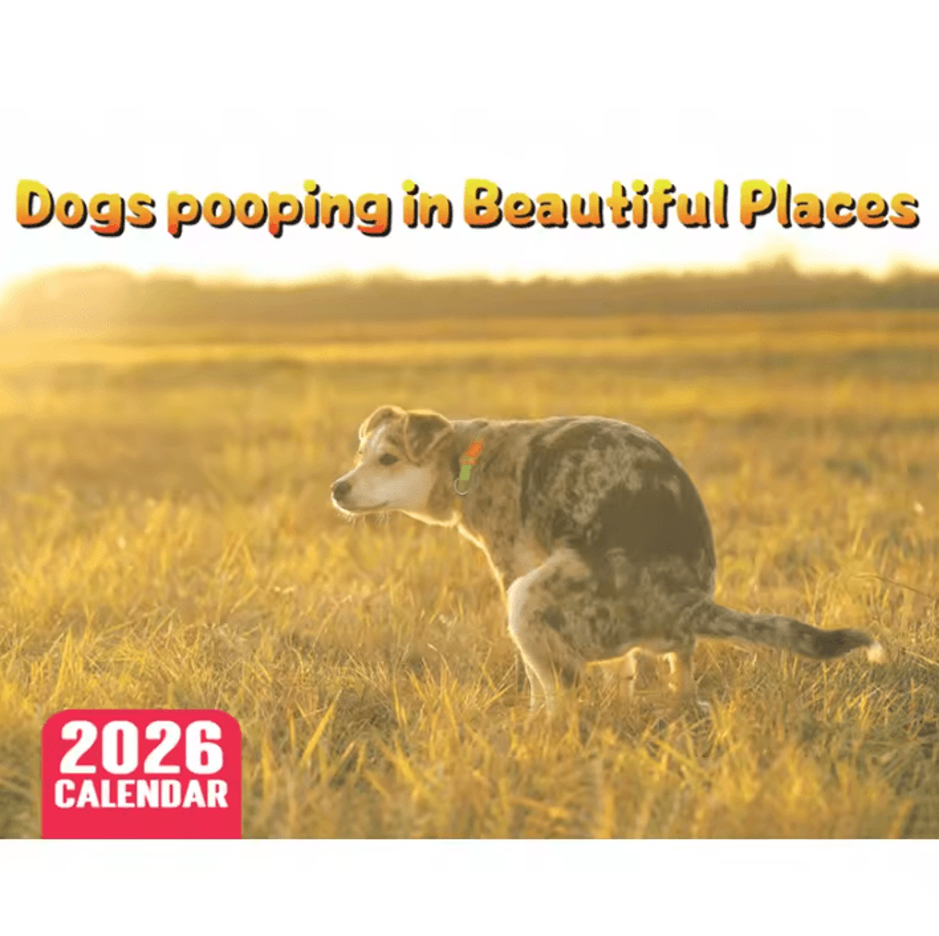 2026 Funny Pooping Dog Wall Calendar Monthly Planner  Organizer 0