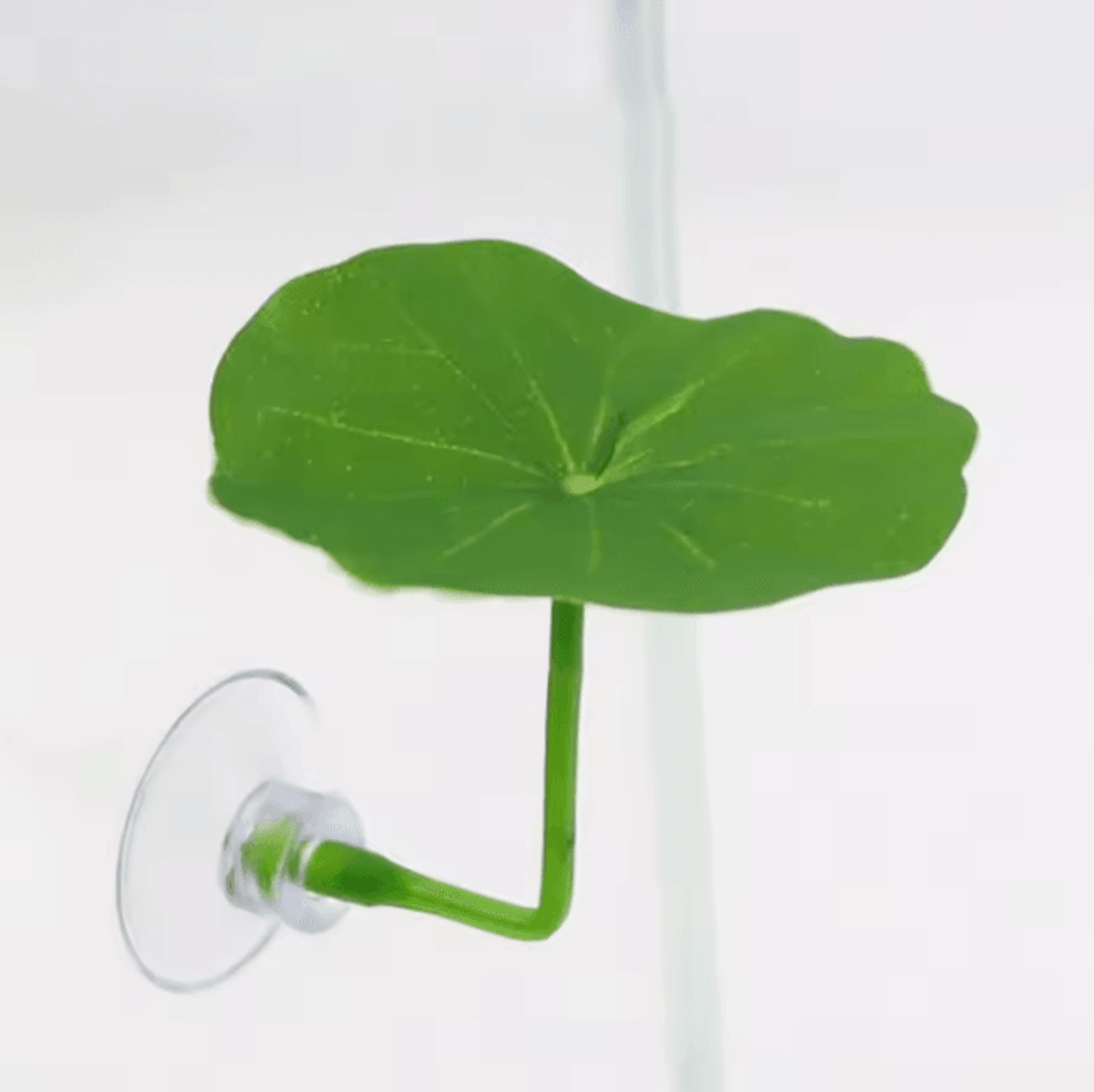 Betta Fish Leaf Hammock With Suction Cup Aquarium Decor 6