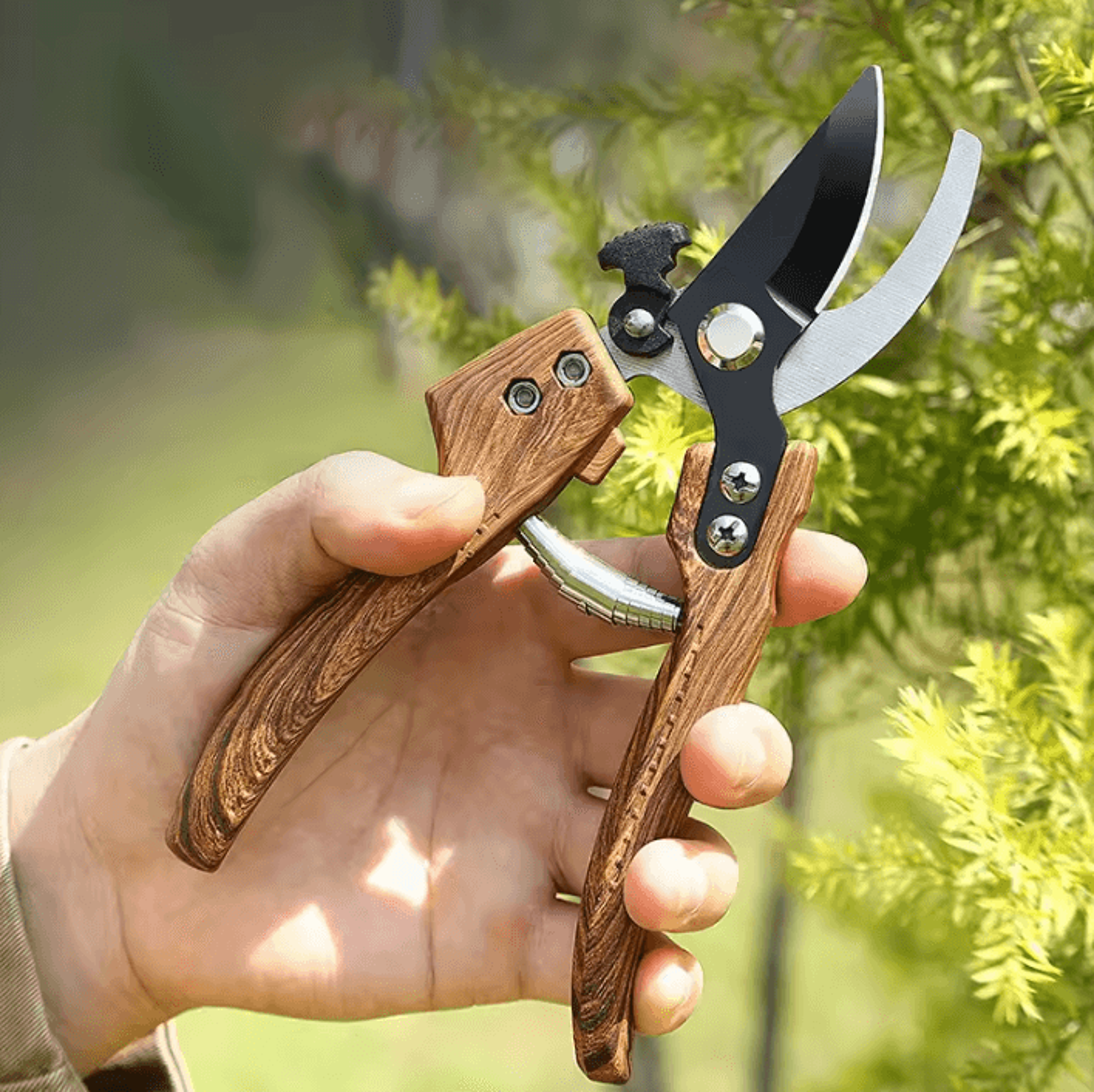 Professional Garden Pruning Shears For Fruit Trees Bonsai  Branch Trimming 0