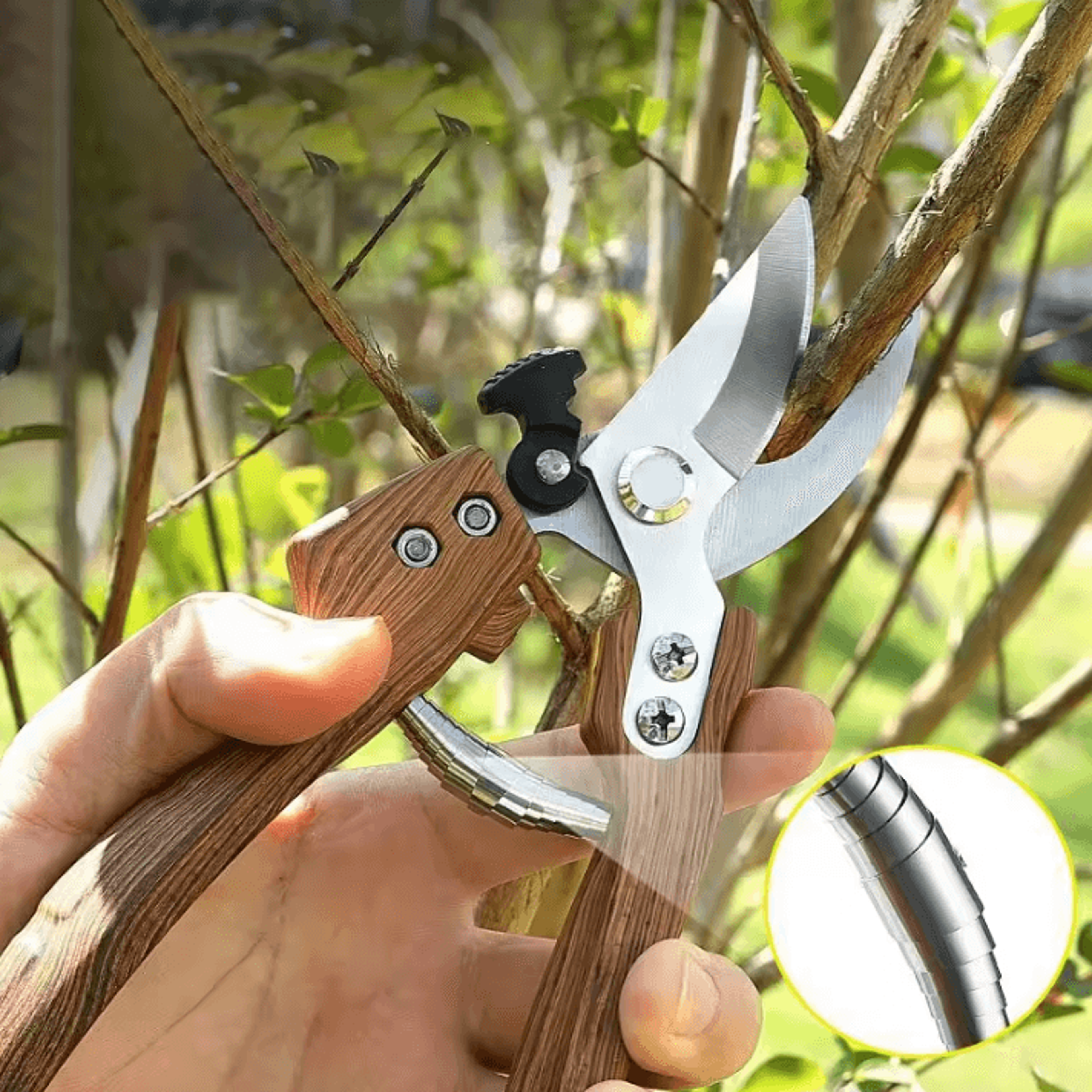 Professional Garden Pruning Shears For Fruit Trees Bonsai  Branch Trimming 2