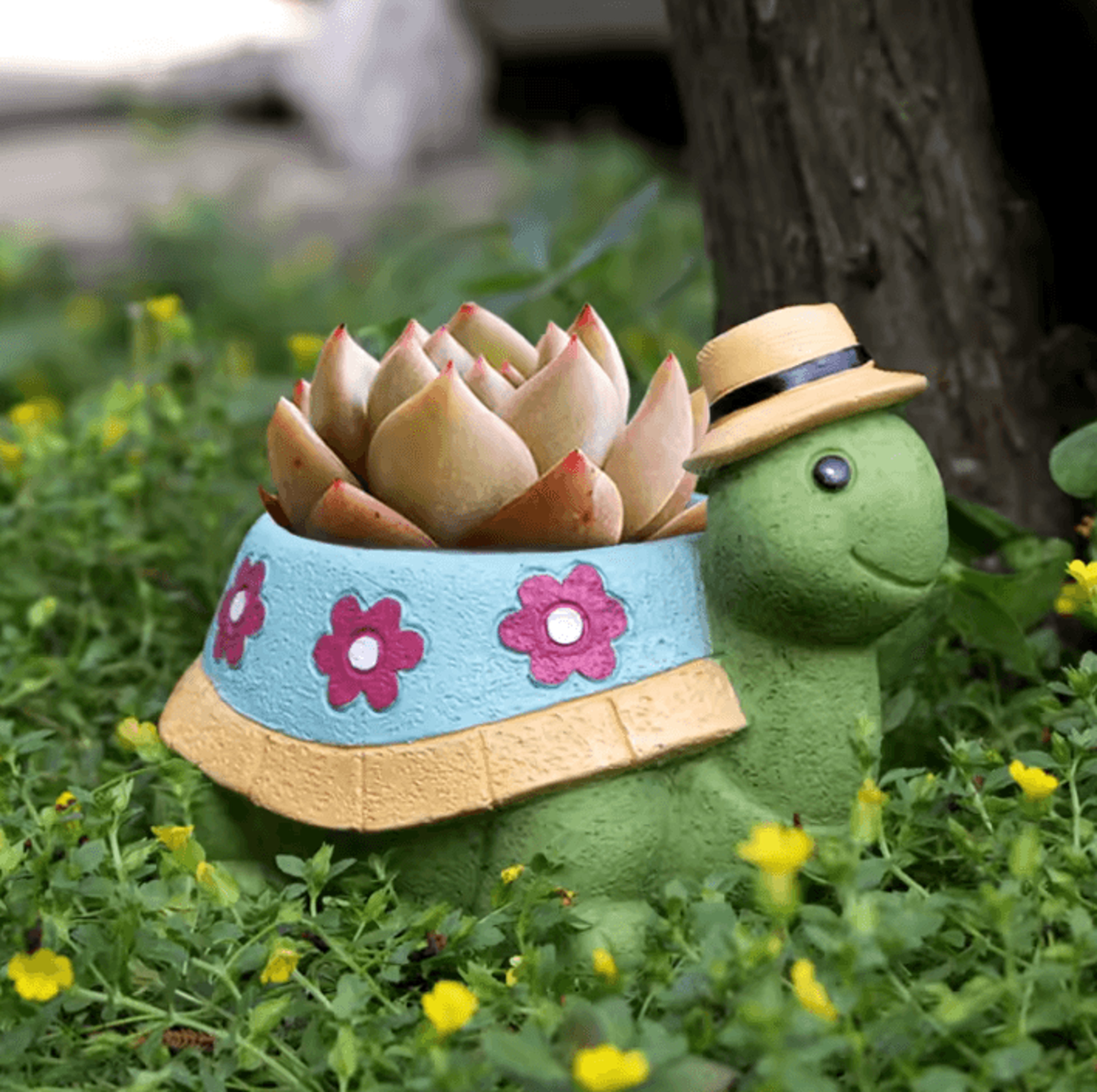 Cute Turtle Succulent Planter Pot For Indoor Plants  Home Decor 1