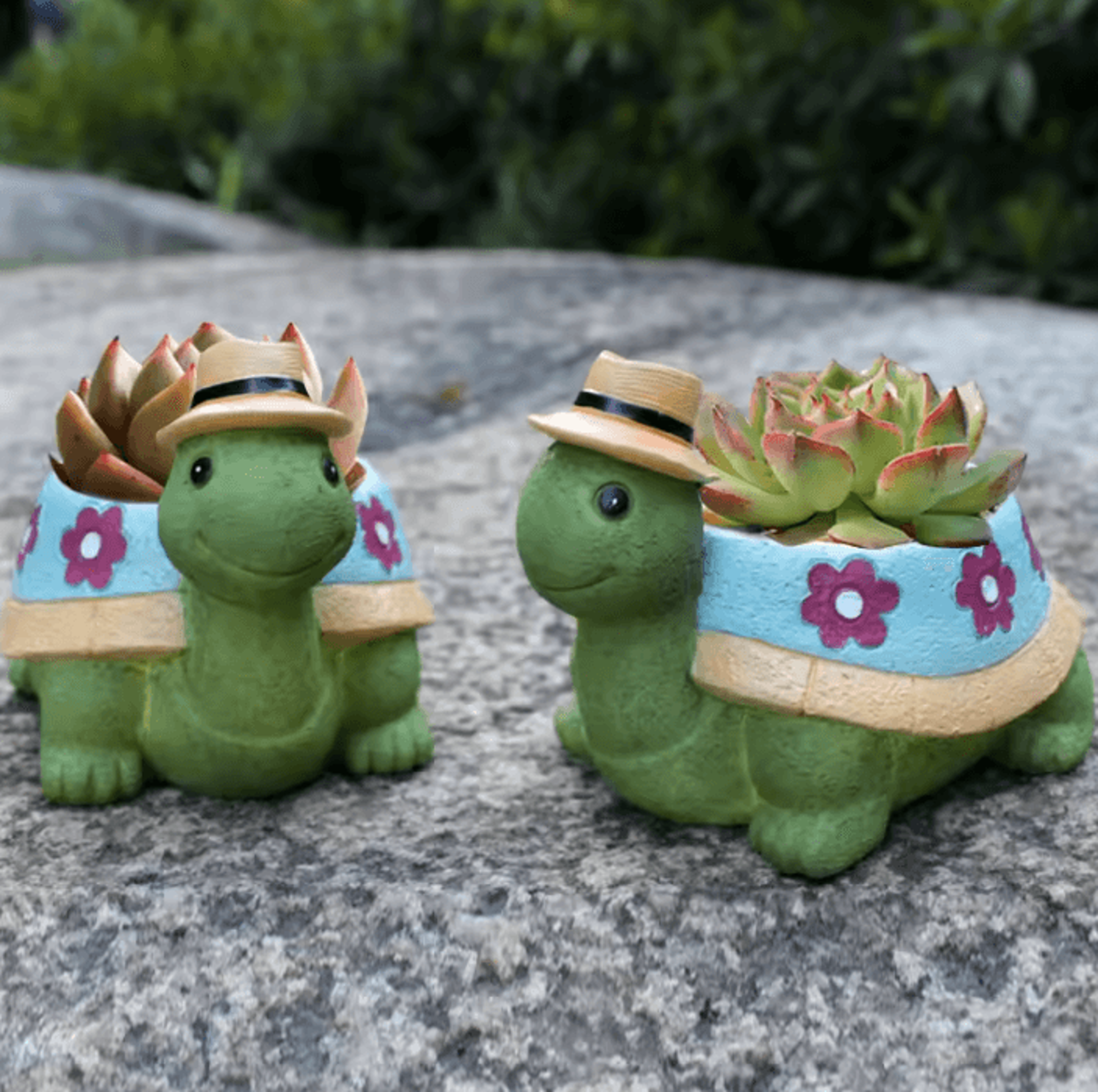 Cute Turtle Succulent Planter Pot For Indoor Plants  Home Decor 2