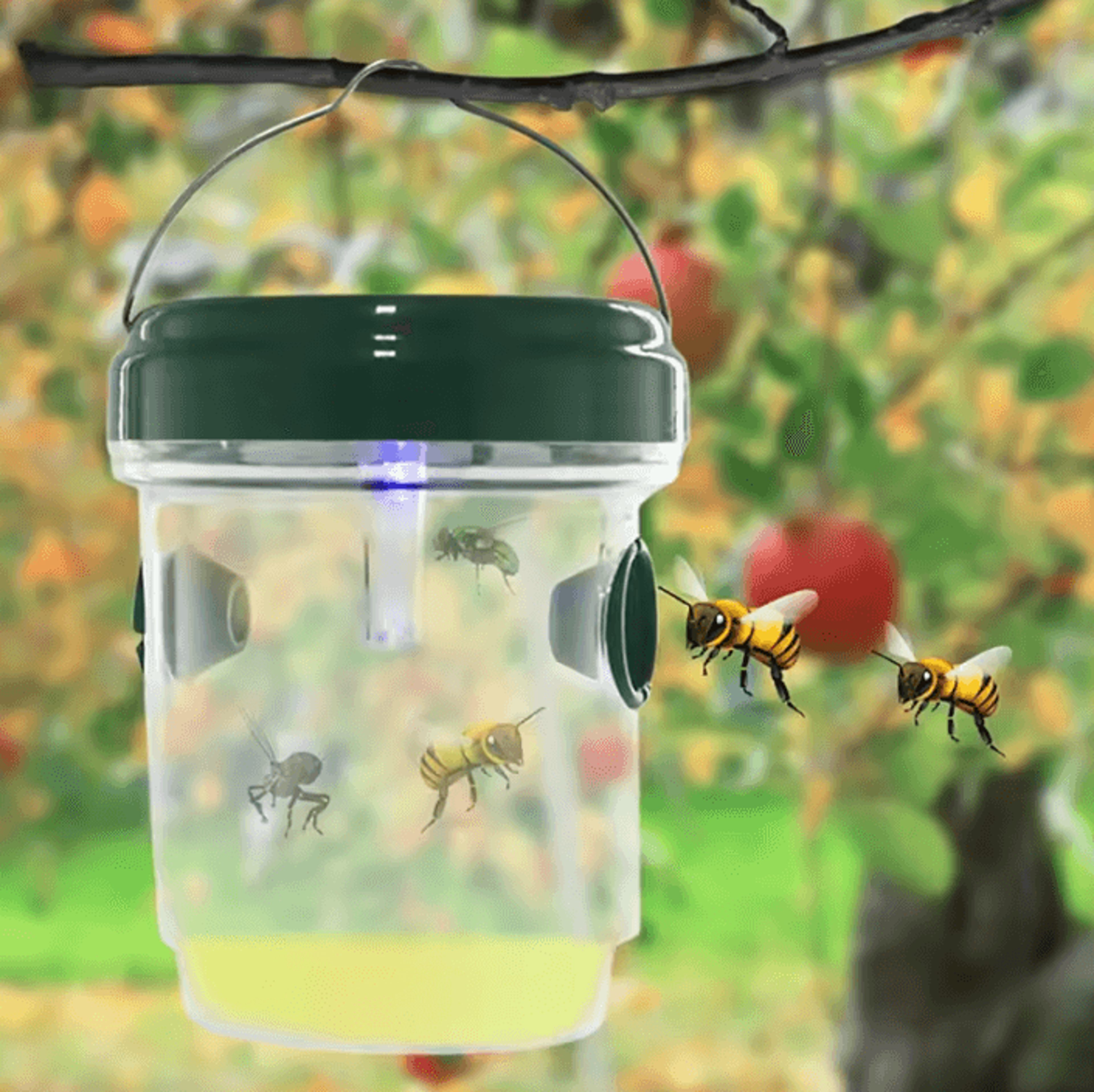 Solar LED Wasp  Fruit Fly Trap  Solar Insect Trap For Outdoor Garden Orchard  Patio Pest Control 0