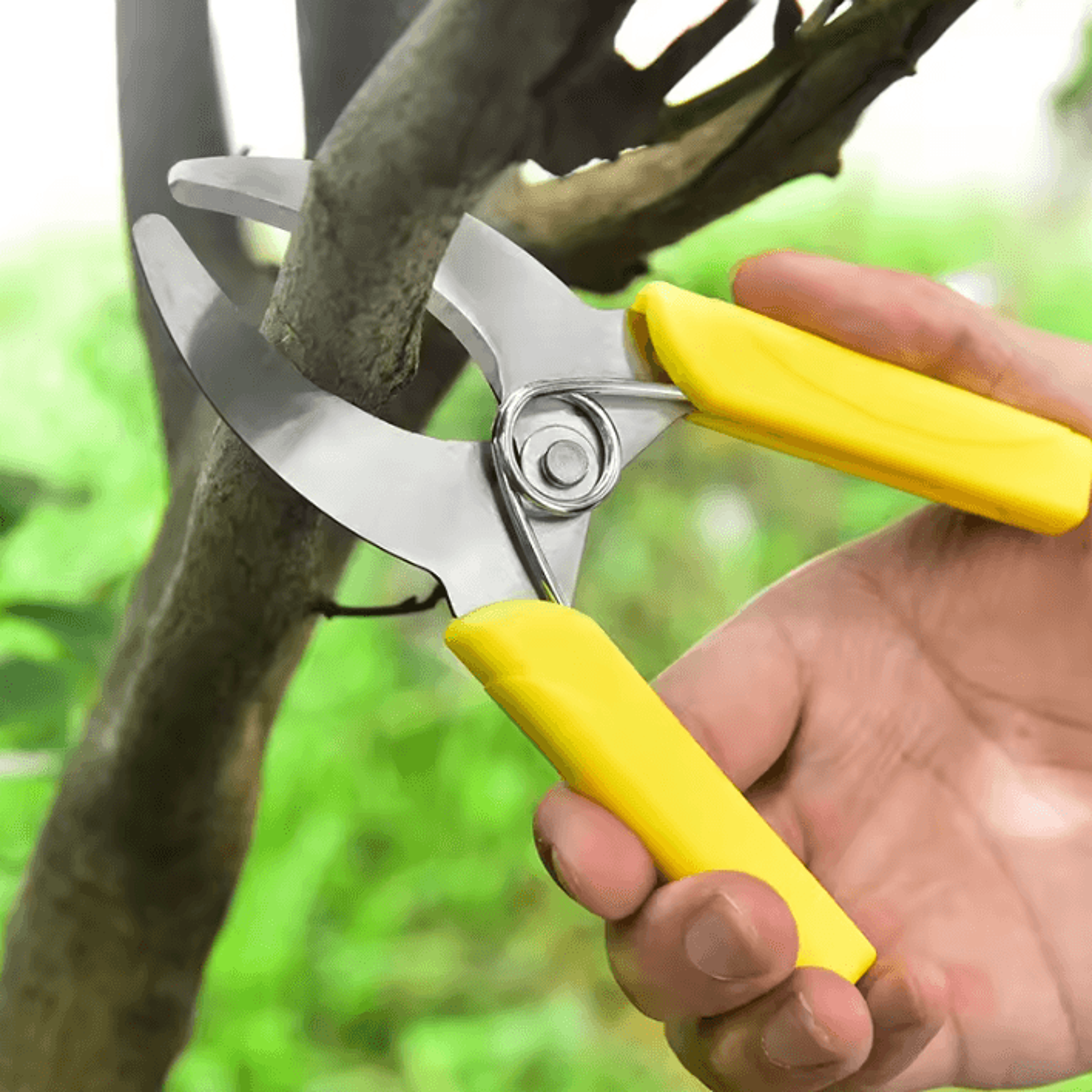 Stainless Steel Grafting Knife  Professional Pruning Knife For Fruit Trees  Garden Branch Cutting 0