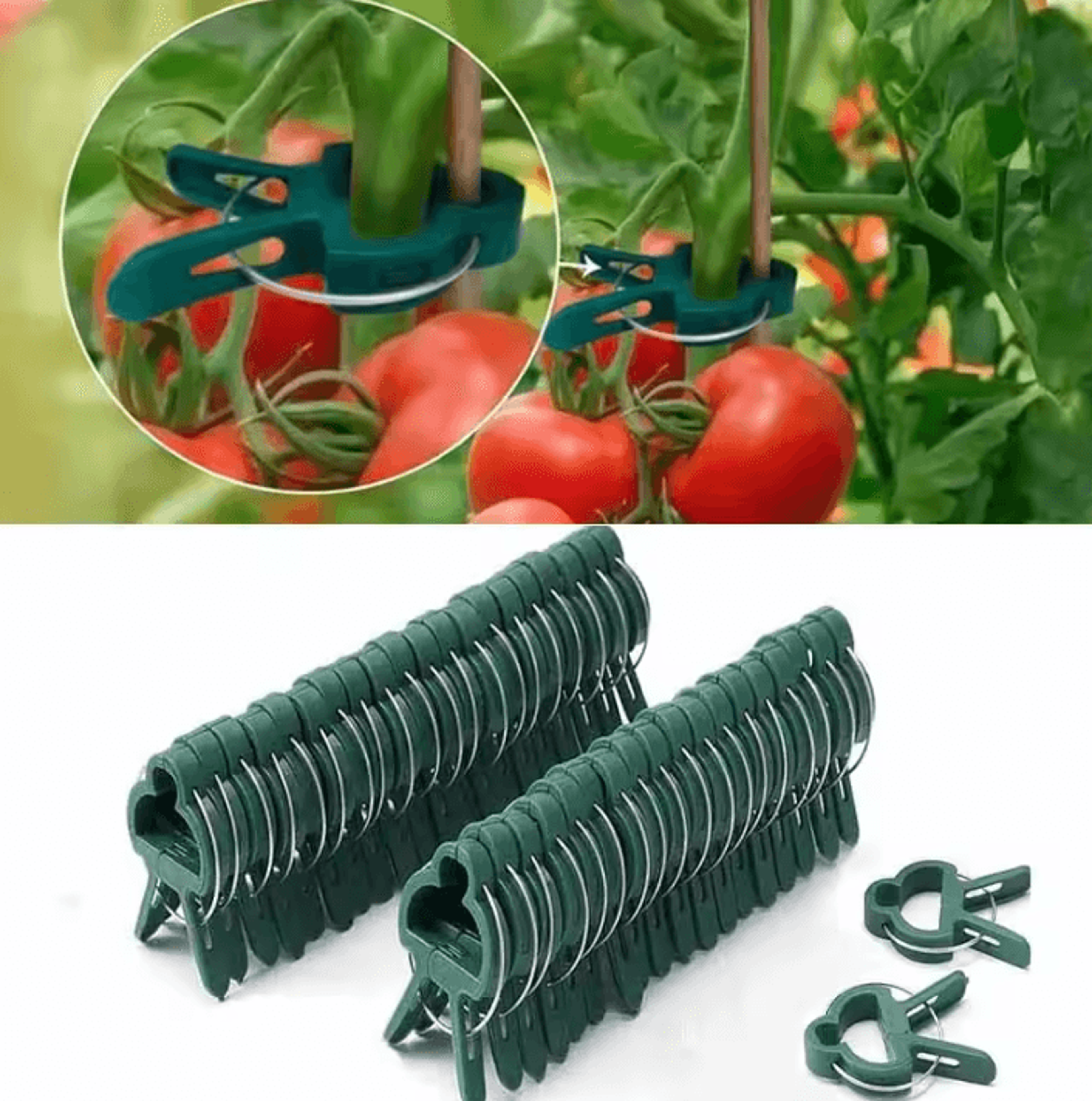 Reusable Plant Support Clips  Garden Stem Fasteners For Tomatoes Vines Flowers  Seedlings 0