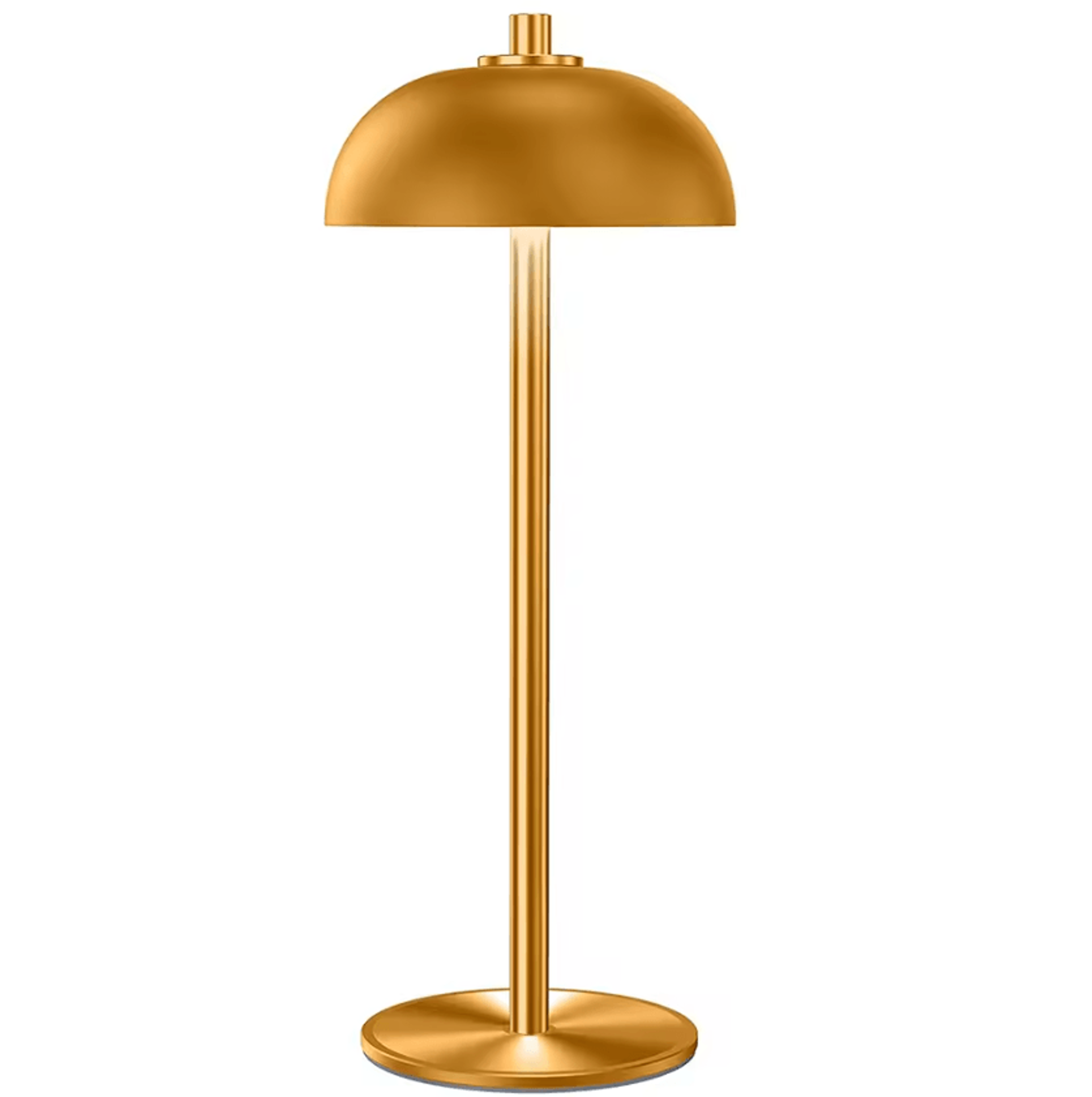 Rechargeable Mushroom Table Lamp USBC Wireless Touch Mood Light 0