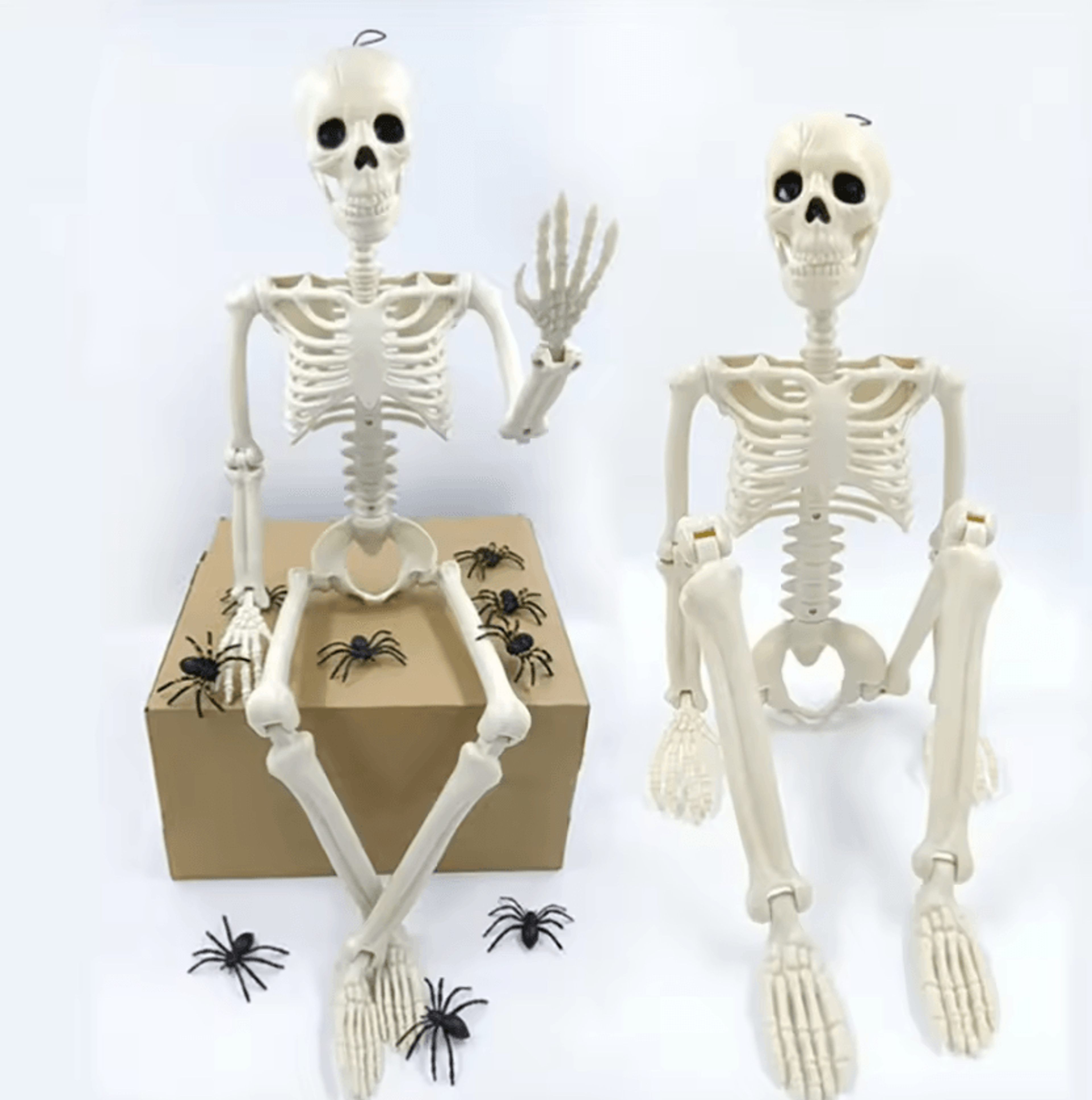 Posable Human Skeleton Halloween Decoration LifeSize Horror Prop 1