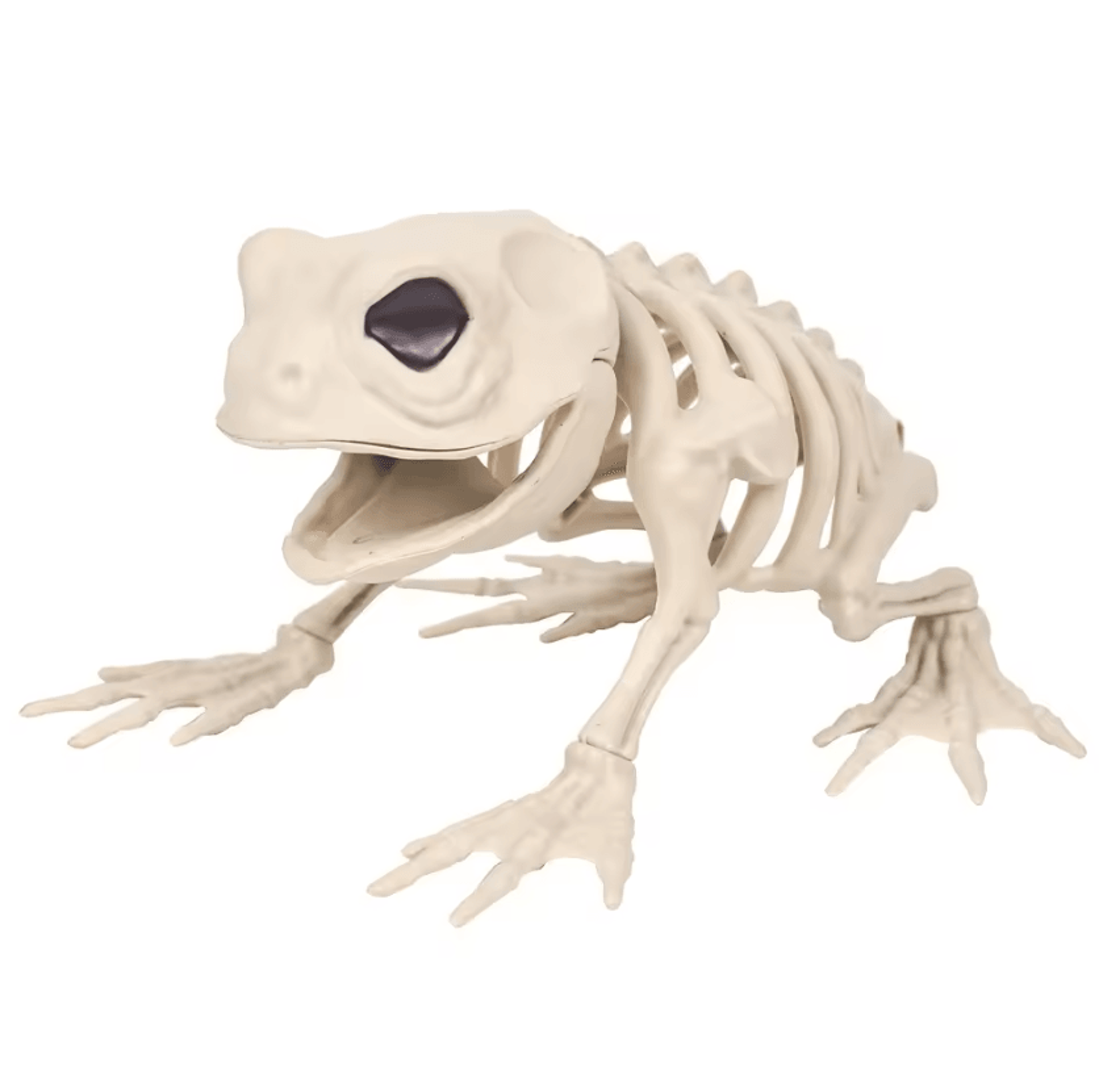 Halloween Skeleton Animal Decor  Skeleton Wolf Decoration For Indoor Outdoor  Garden Displays 5