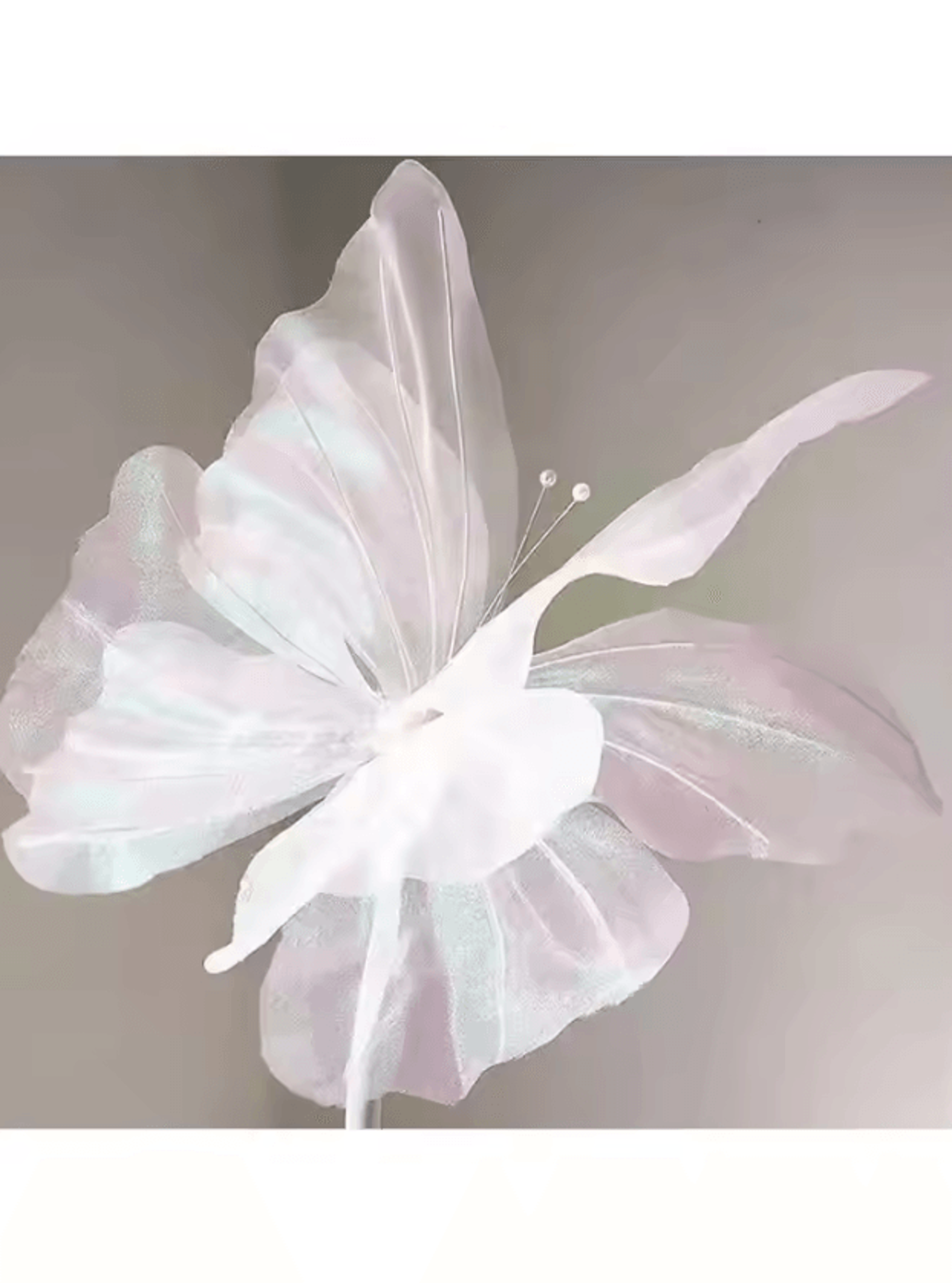 3D Simulated Butterfly Decoration  Oversized Silk Party  Photography Prop 5