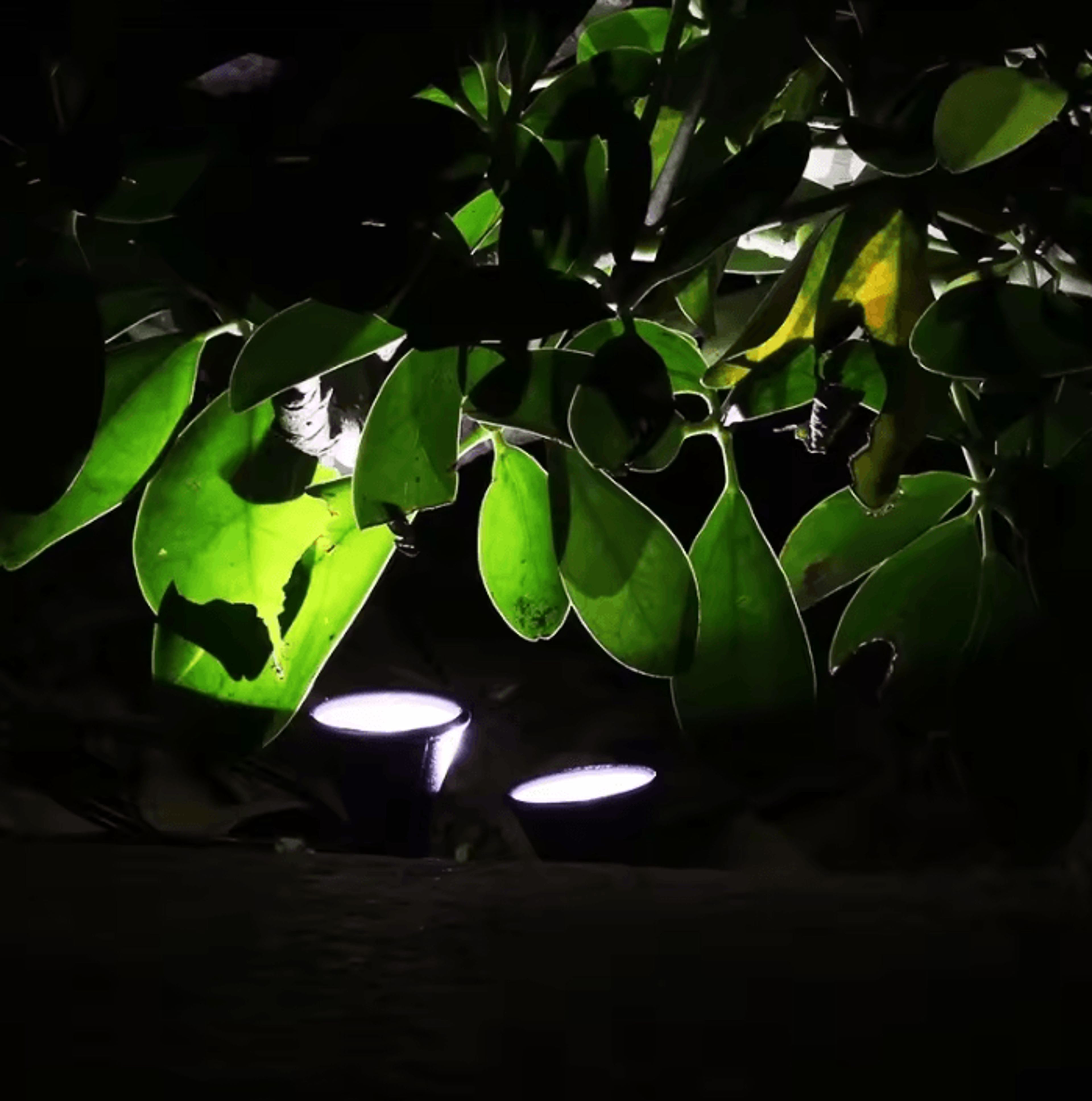 IP65 Solar Pathway Lights  Outdoor Garden And Lawn Landscape Lamps 2