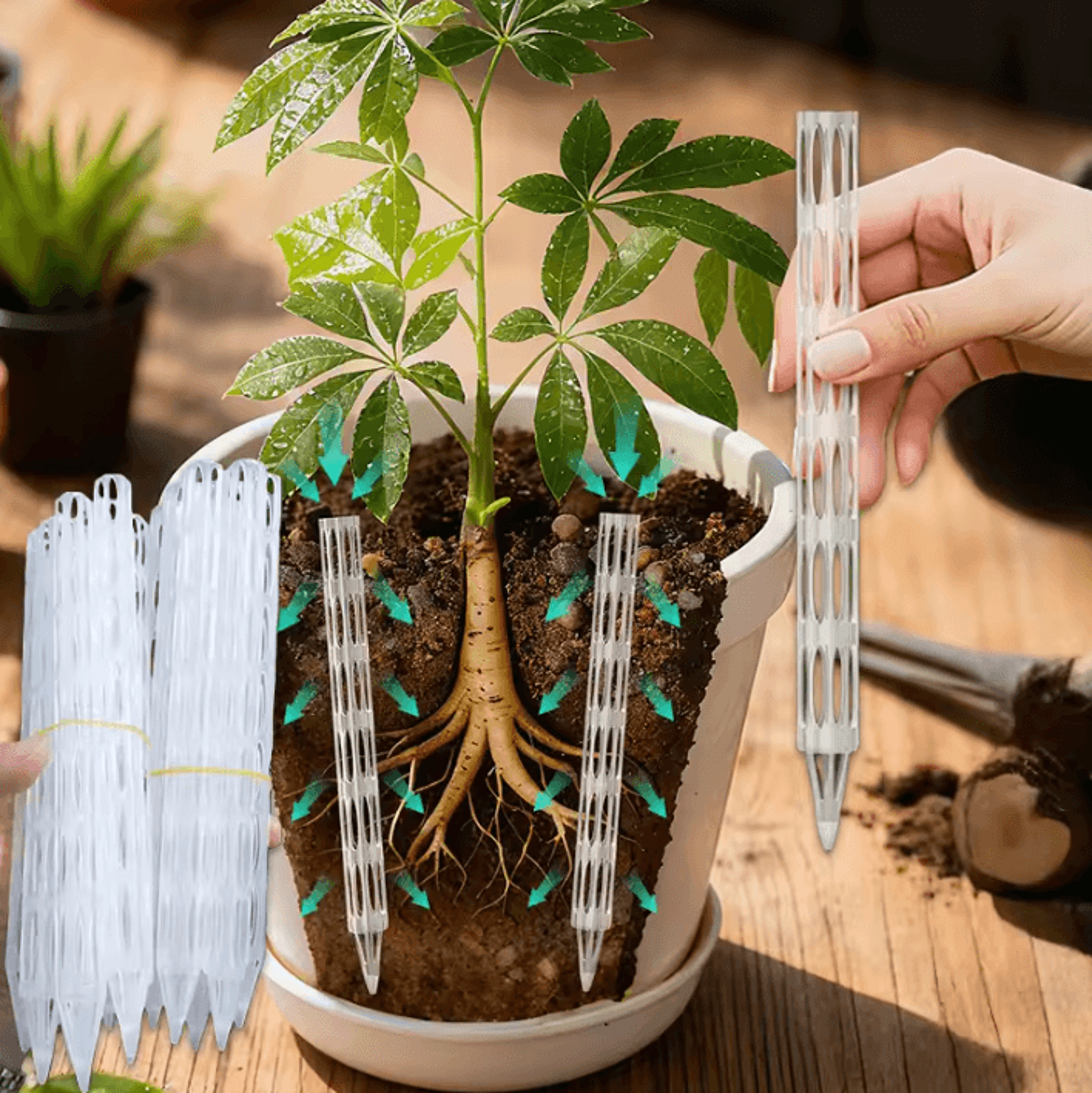 10 Or 20Pcs Plant Root Ventilation Drainage Pipes 0