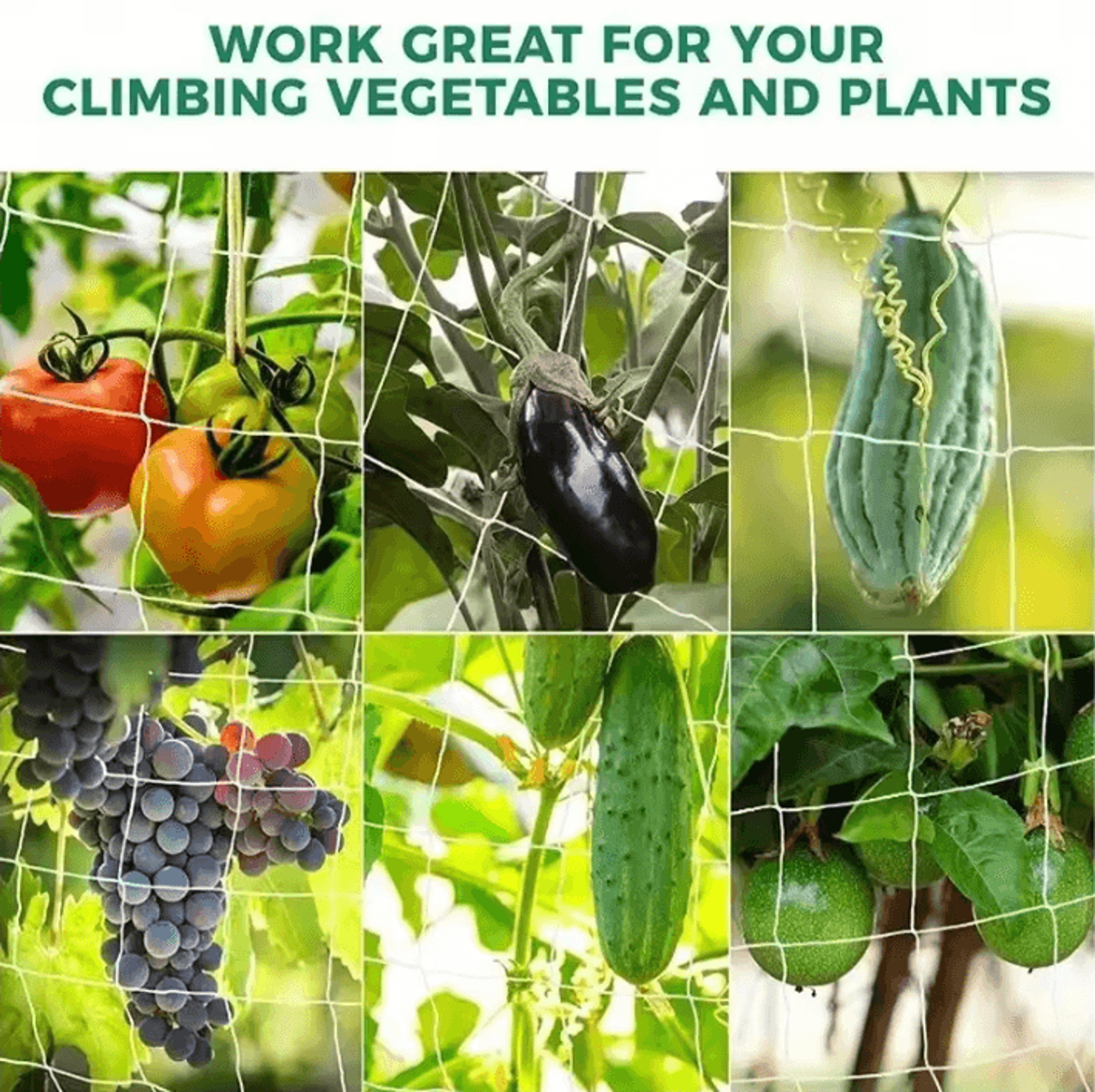 Garden Trellis Netting For Climbing Plants And Vegetables 1