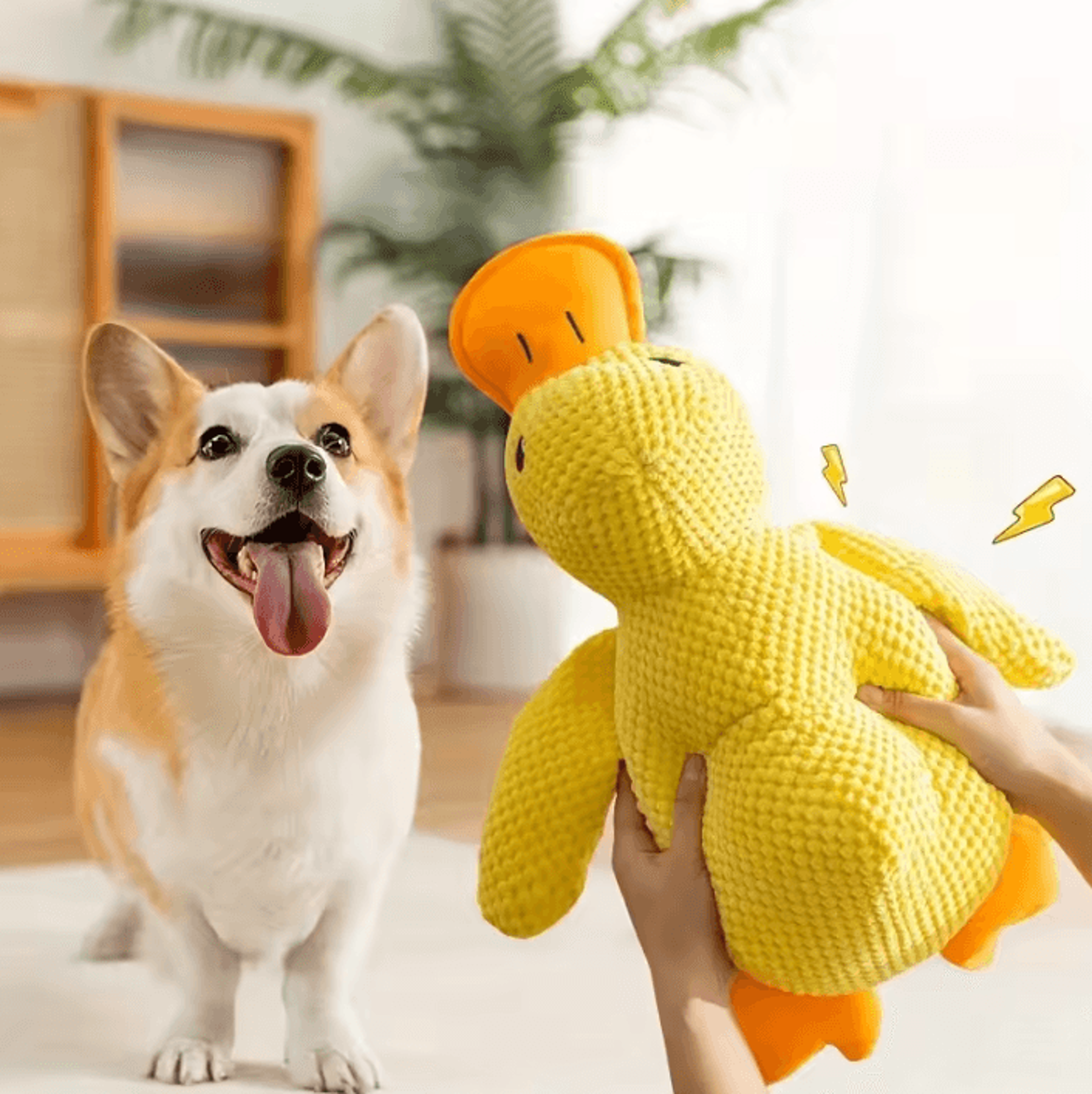 Mellow Duck Plush Dog Toy With Quacking Sound 2